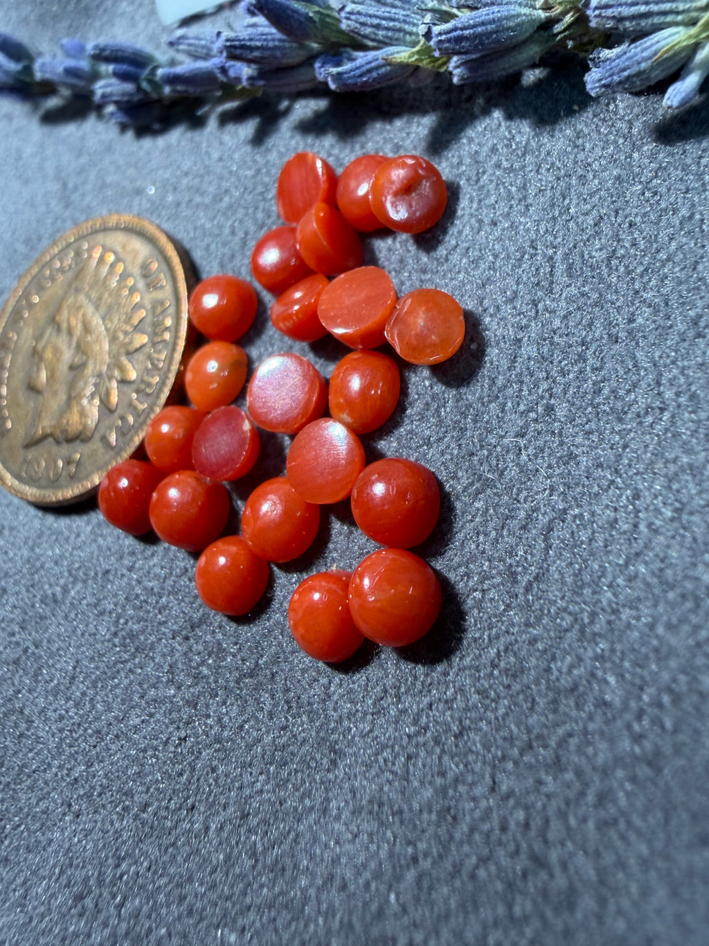 Natural Mediterranean Coral On Sale!