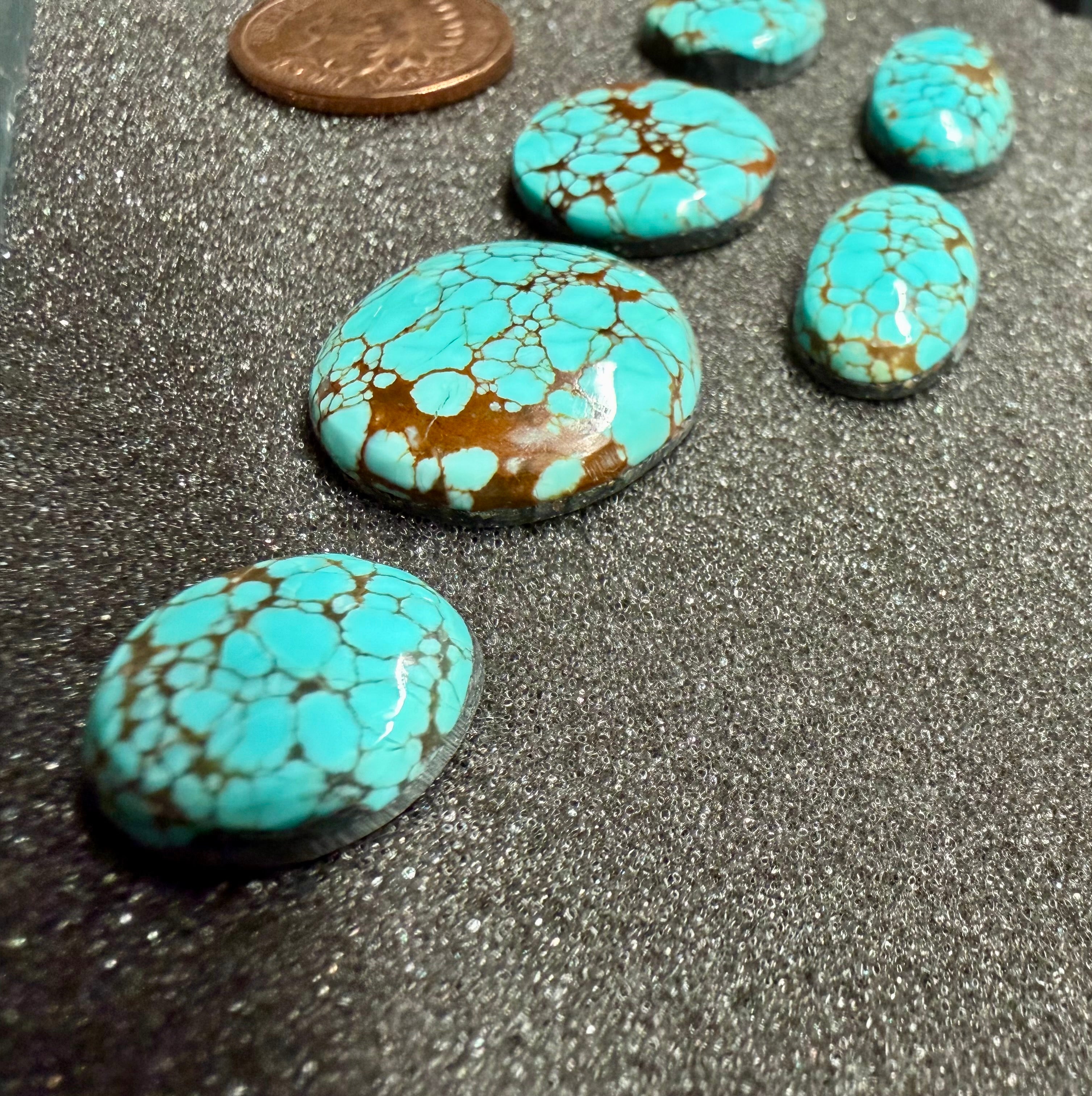 Classic Western Designs Look Amazing with Sierra Nevada Turquoise! (6-Stone Set)