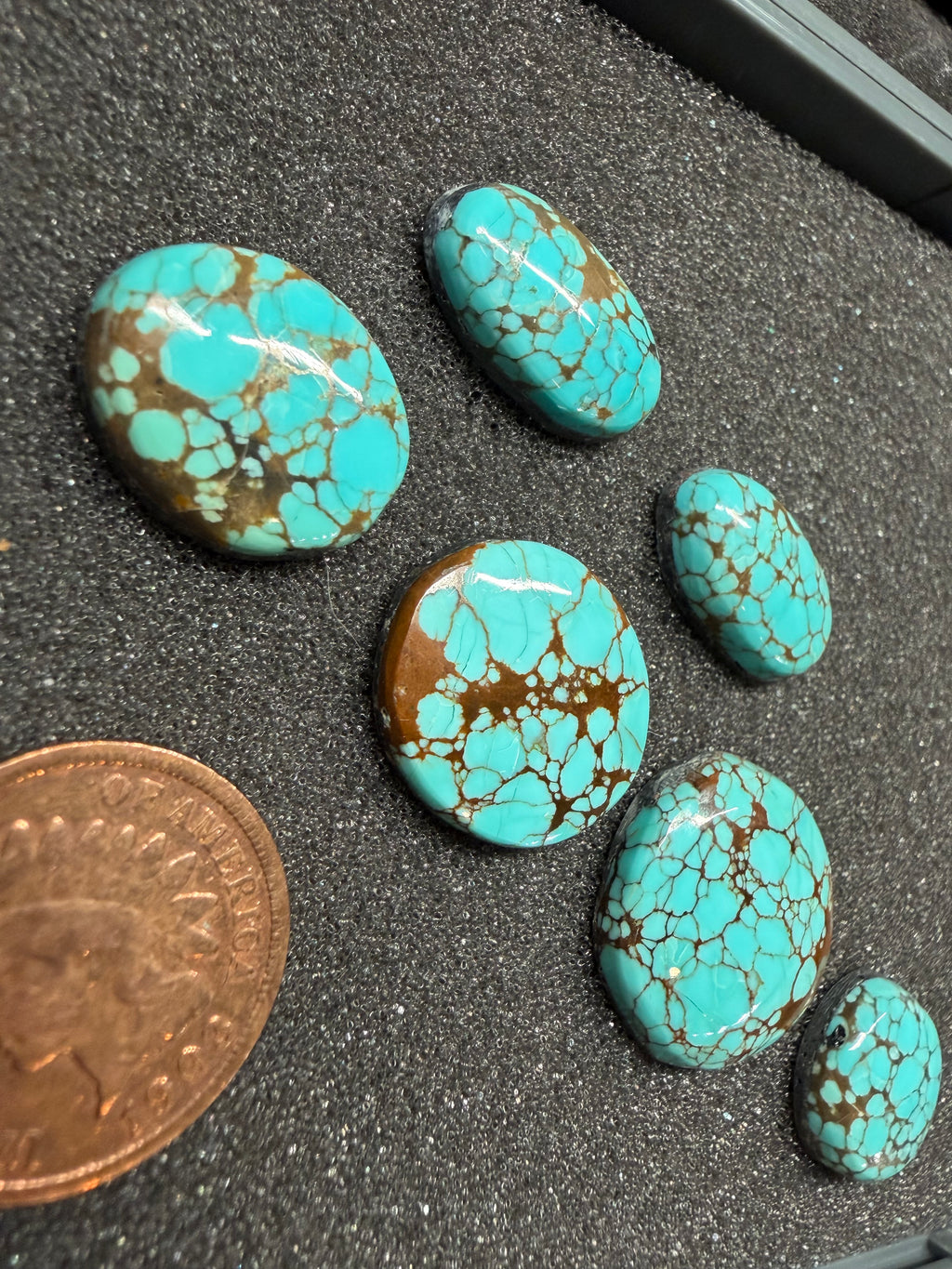 Classic Western Designs Look Amazing with Sierra Nevada Turquoise! (6-Stone Set)