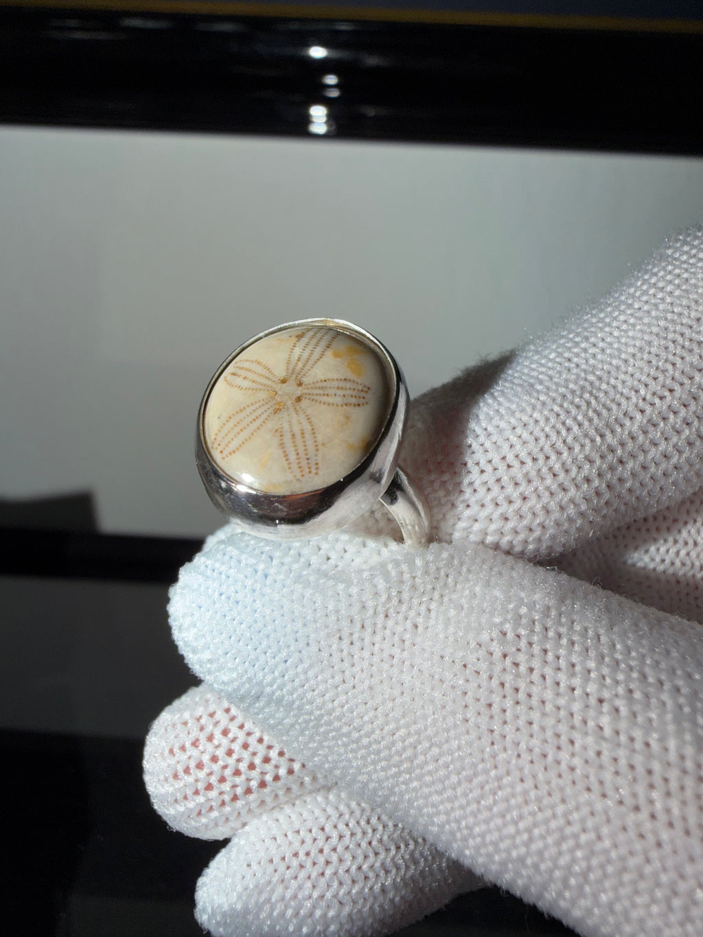 Sand Dollar Fossil Ring - One of a Kind!! Perfect Everyday Ring!