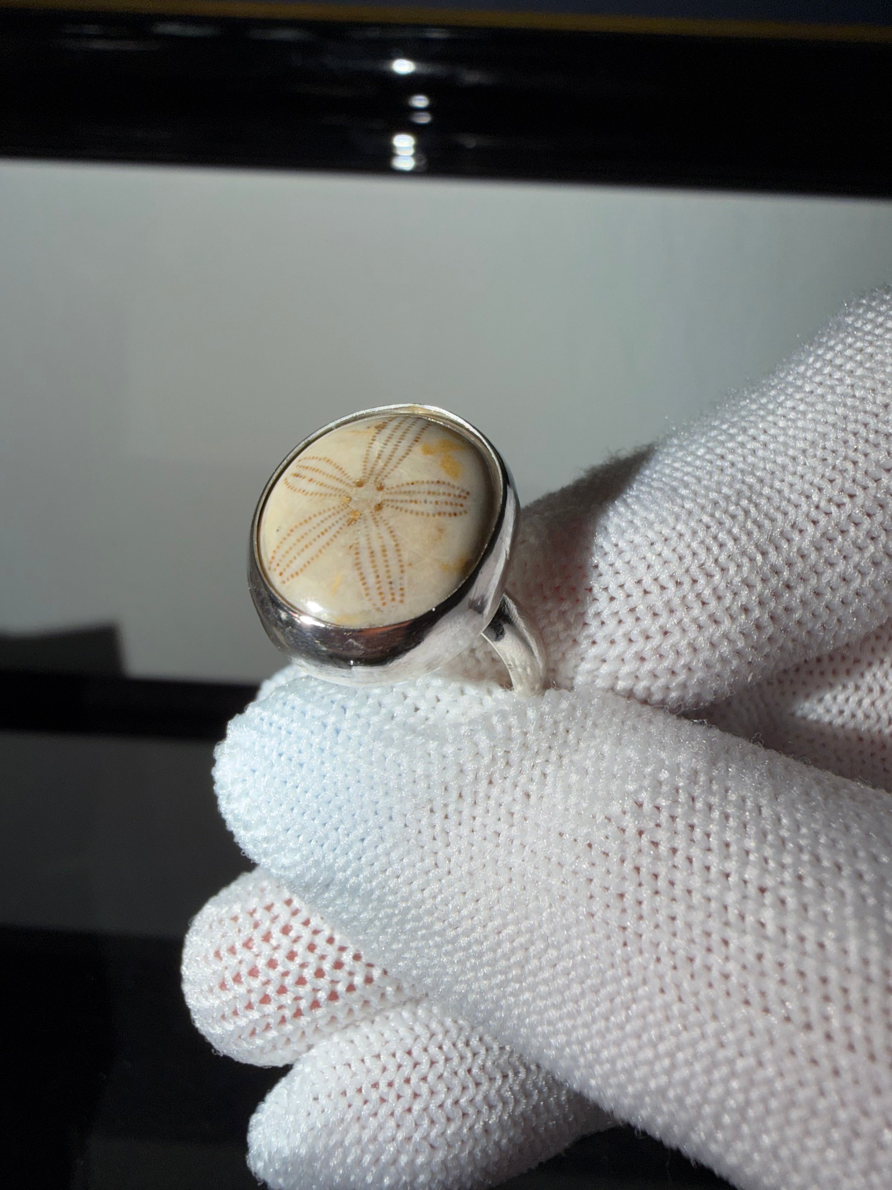 Sand Dollar Fossil Ring - One of a Kind!! Perfect Everyday Ring!