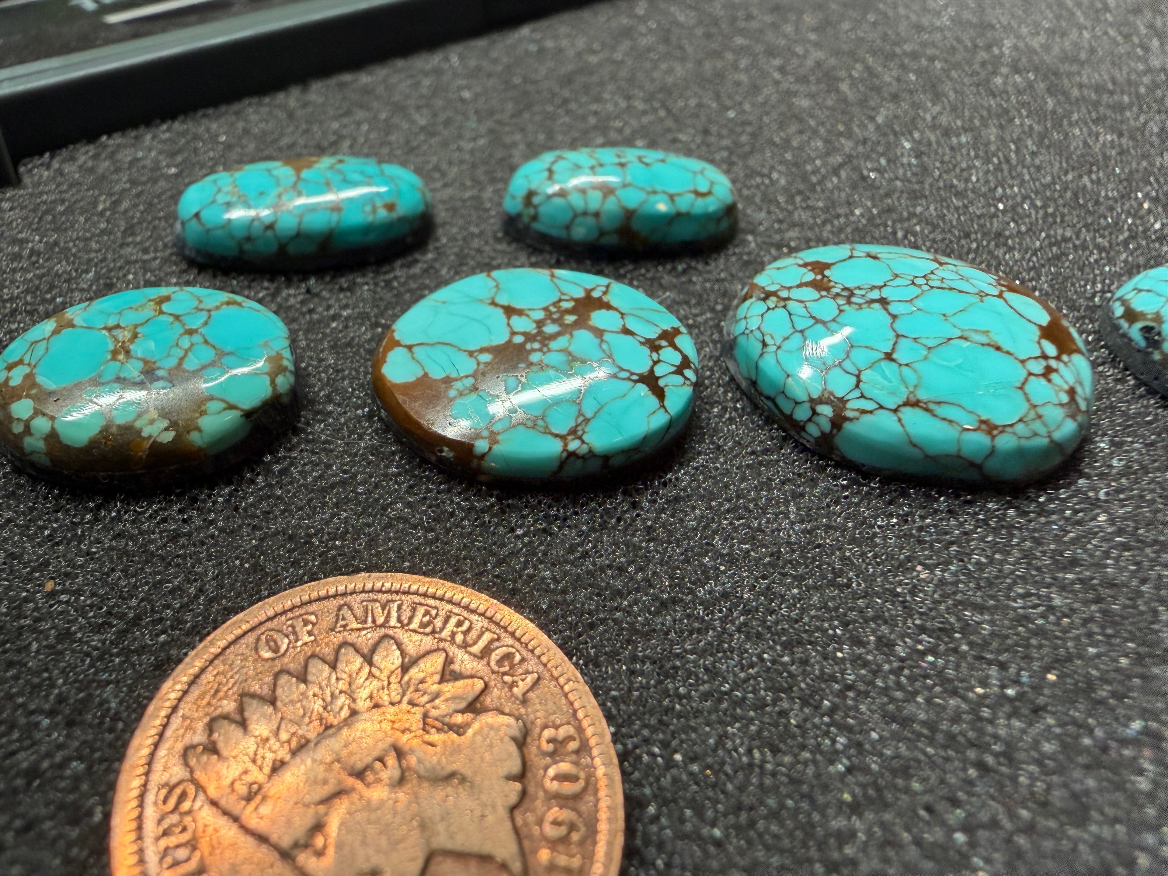 Classic Western Designs Look Amazing with Sierra Nevada Turquoise! (6-Stone Set)