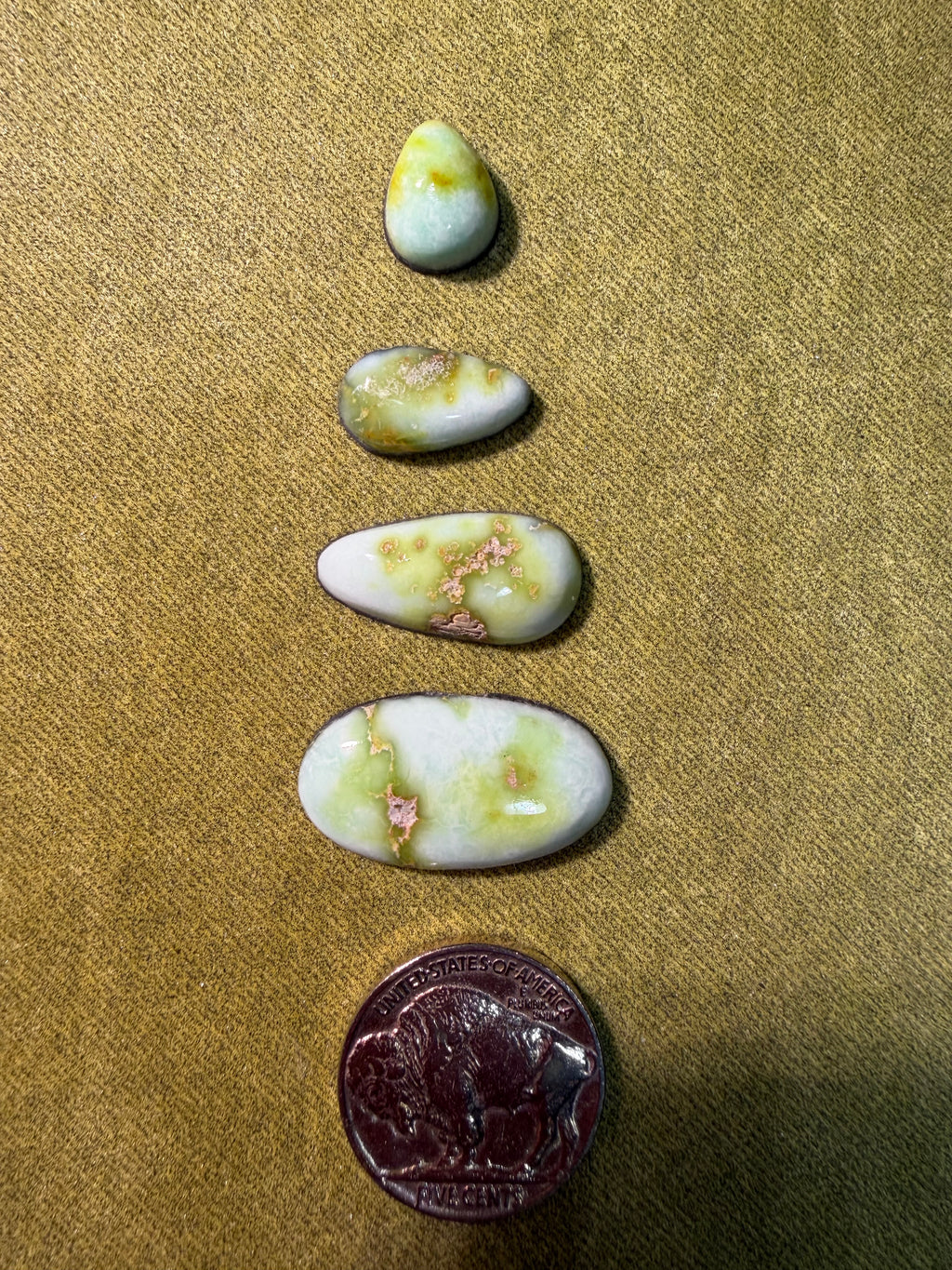 Pretty Palomino! Price Drop! Grab these Gorgeous Cabs today!