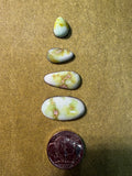 Pretty Palomino! Price Drop! Grab these Gorgeous Cabs today!