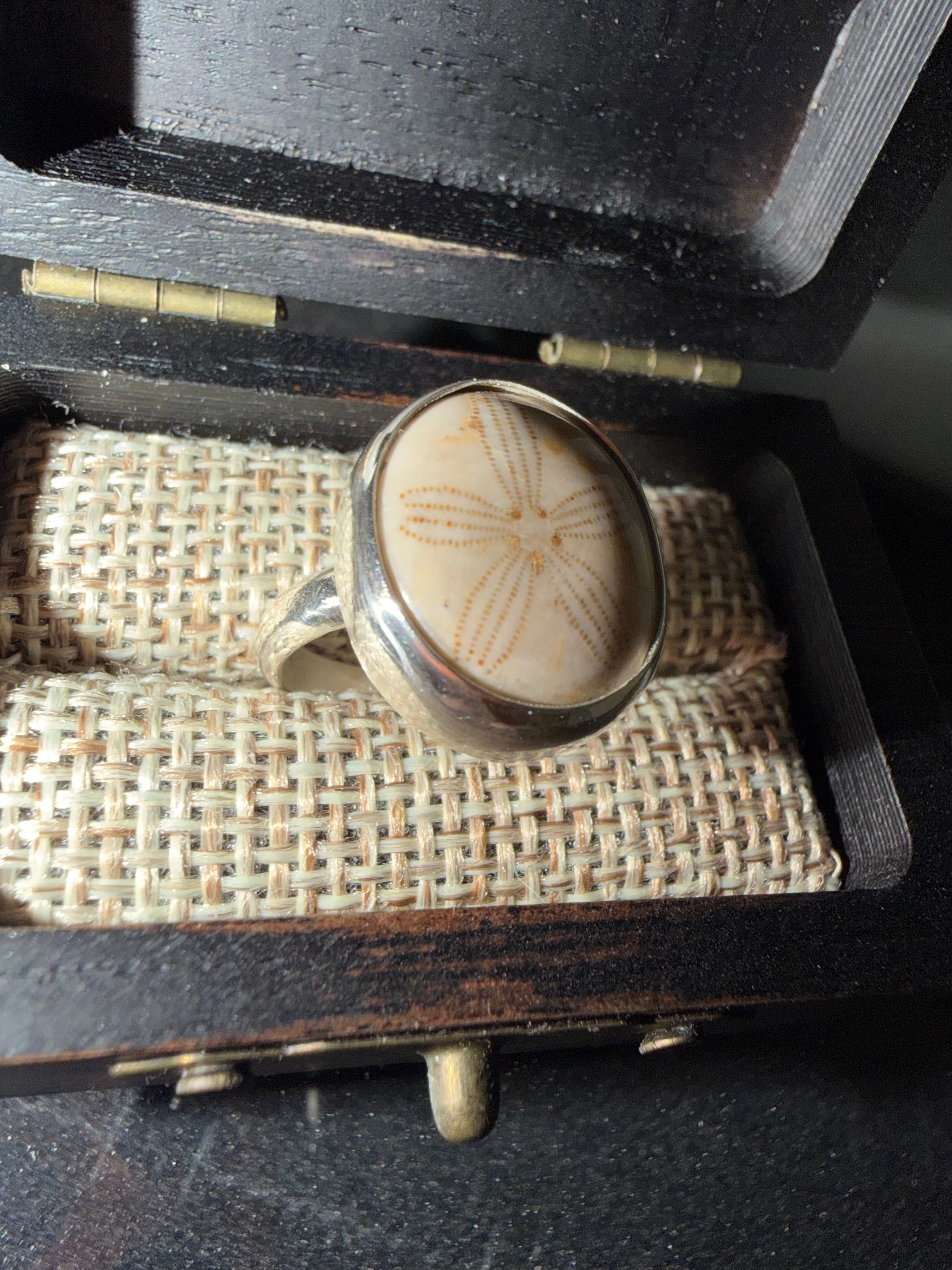 Sand Dollar Fossil Ring - One of a Kind!! Perfect Everyday Ring!