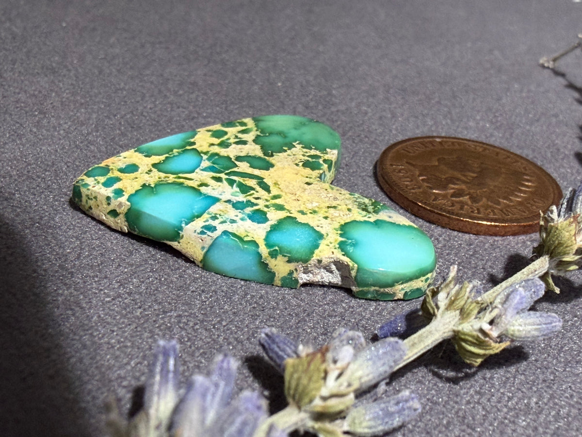 LOOK AT THIS ONE!! This is Sonoran Mtn. Turquoise! On Sale!
