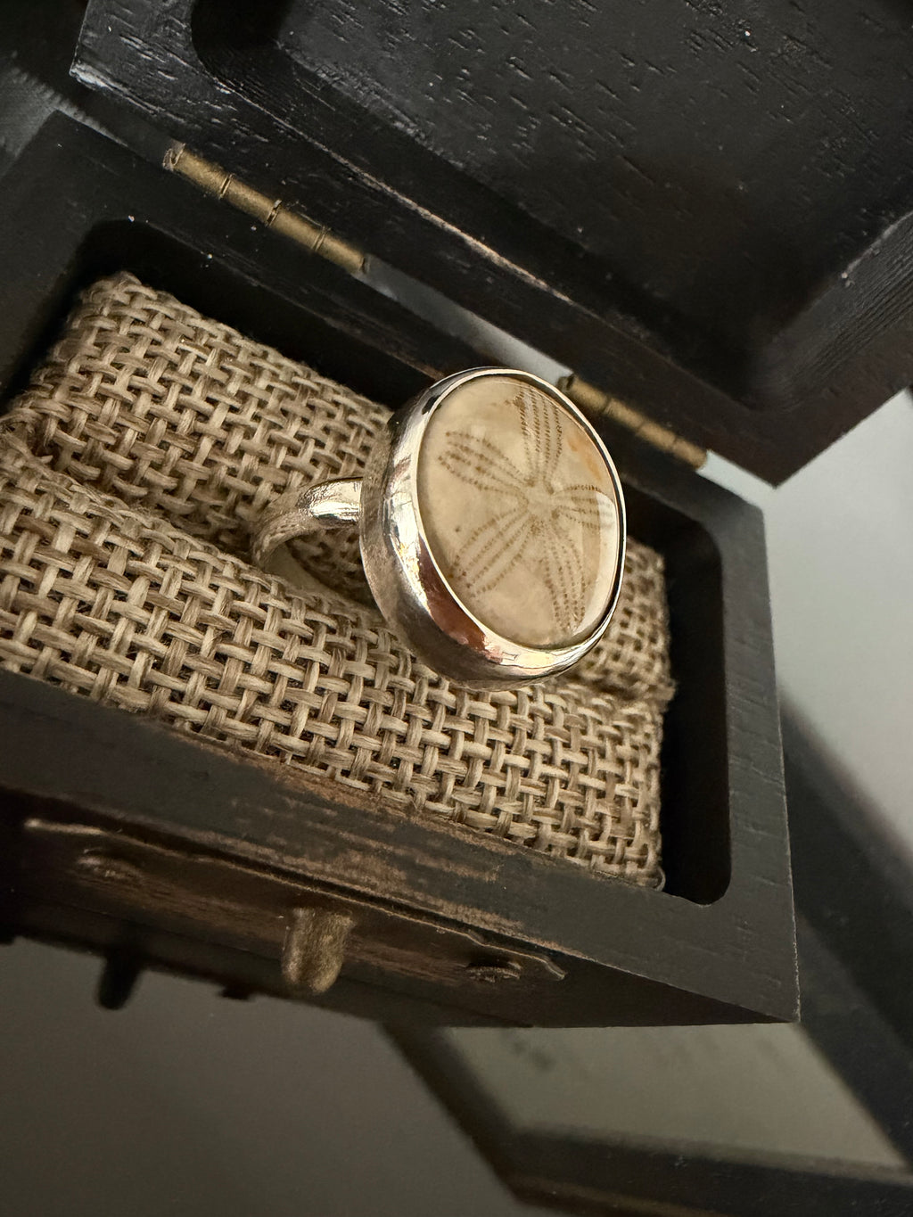 Sand Dollar Fossil Ring - One of a Kind!! Perfect Everyday Ring!