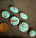 Classic Western Designs Look Amazing with Sierra Nevada Turquoise! (6-Stone Set)