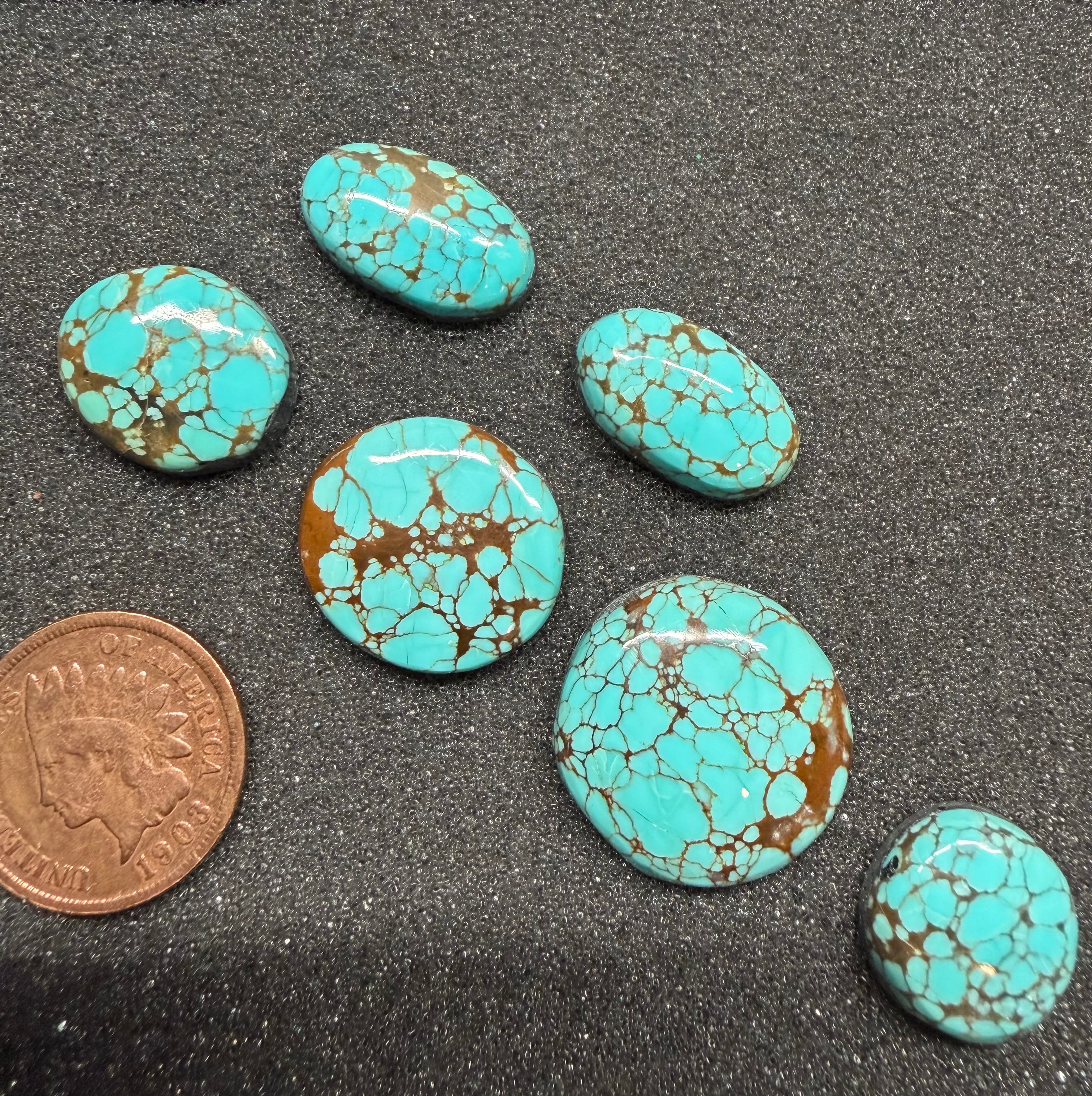 Classic Western Designs Look Amazing with Sierra Nevada Turquoise! (6-Stone Set)