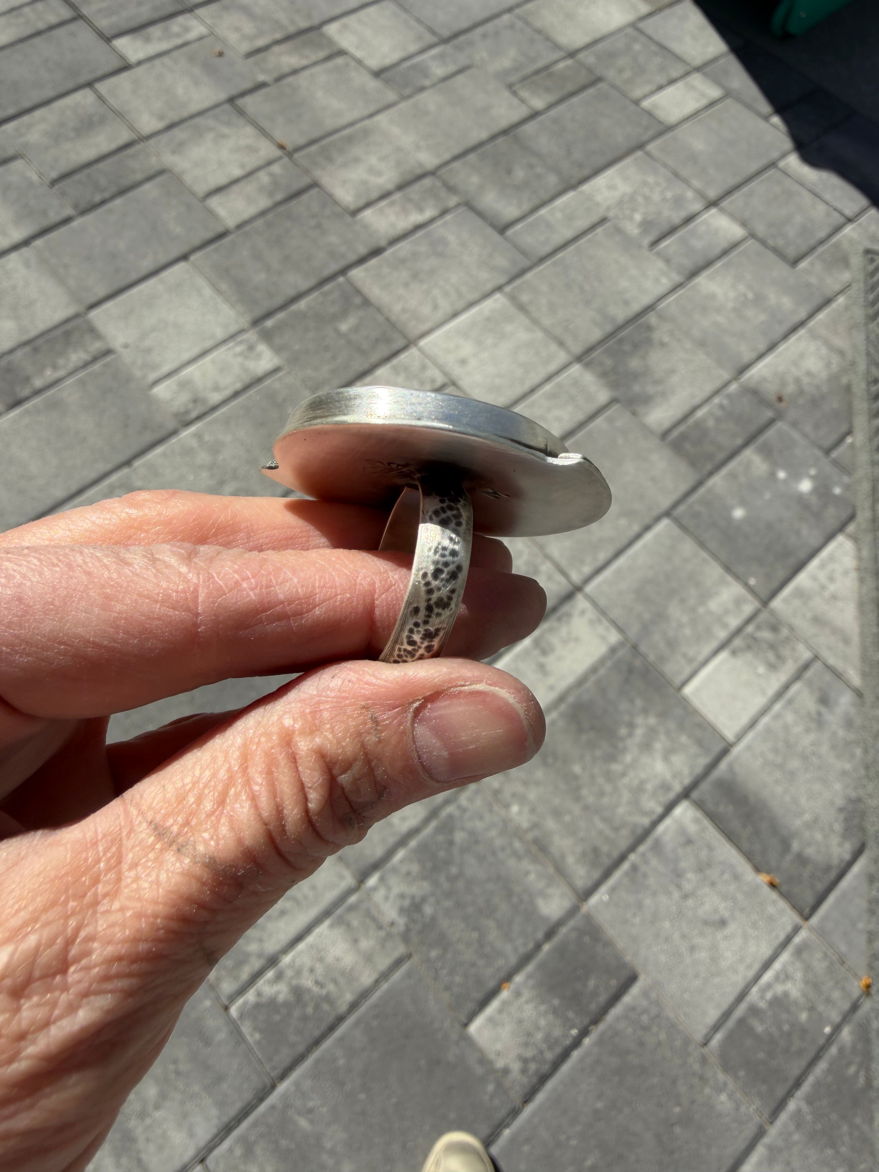 Horse Canyon Moss/Abalone/Sterling Silver Statement Ring