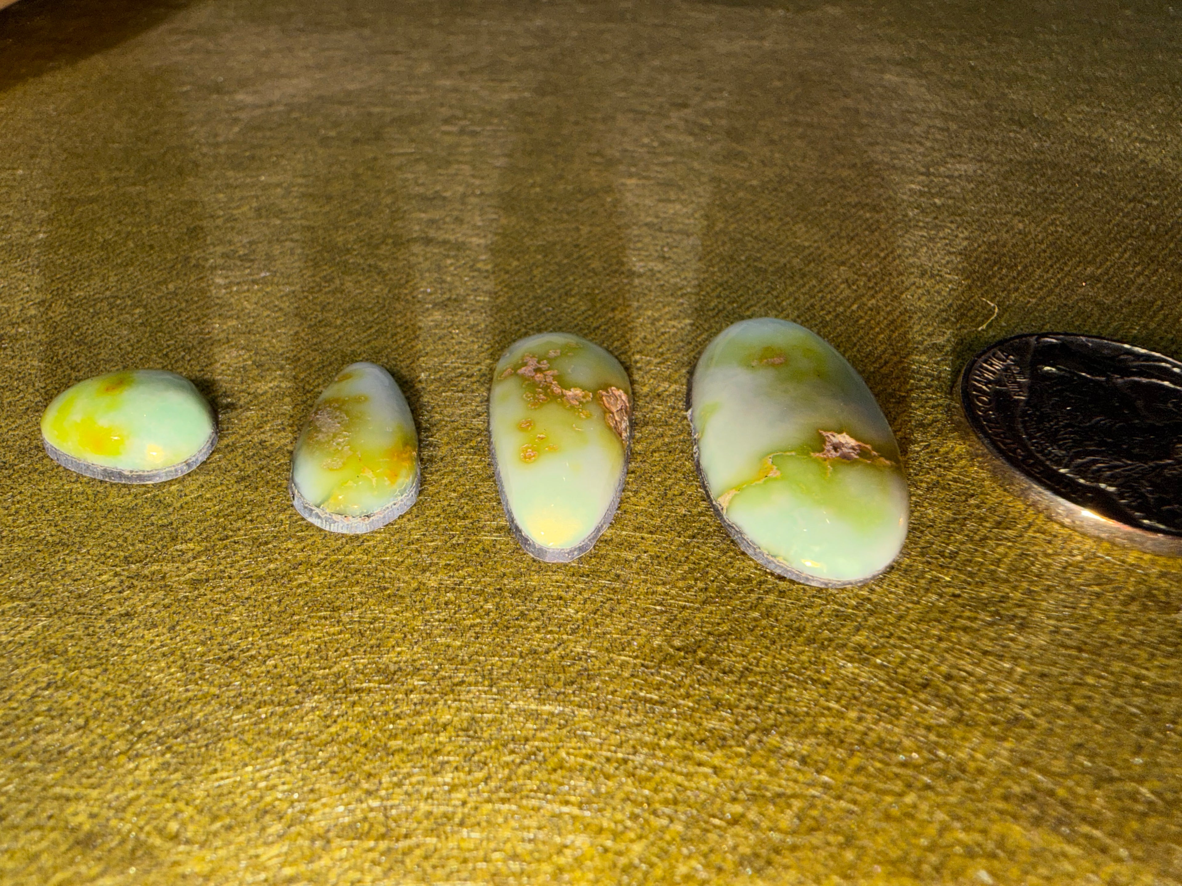 Pretty Palomino! Price Drop! Grab these Gorgeous Cabs today!