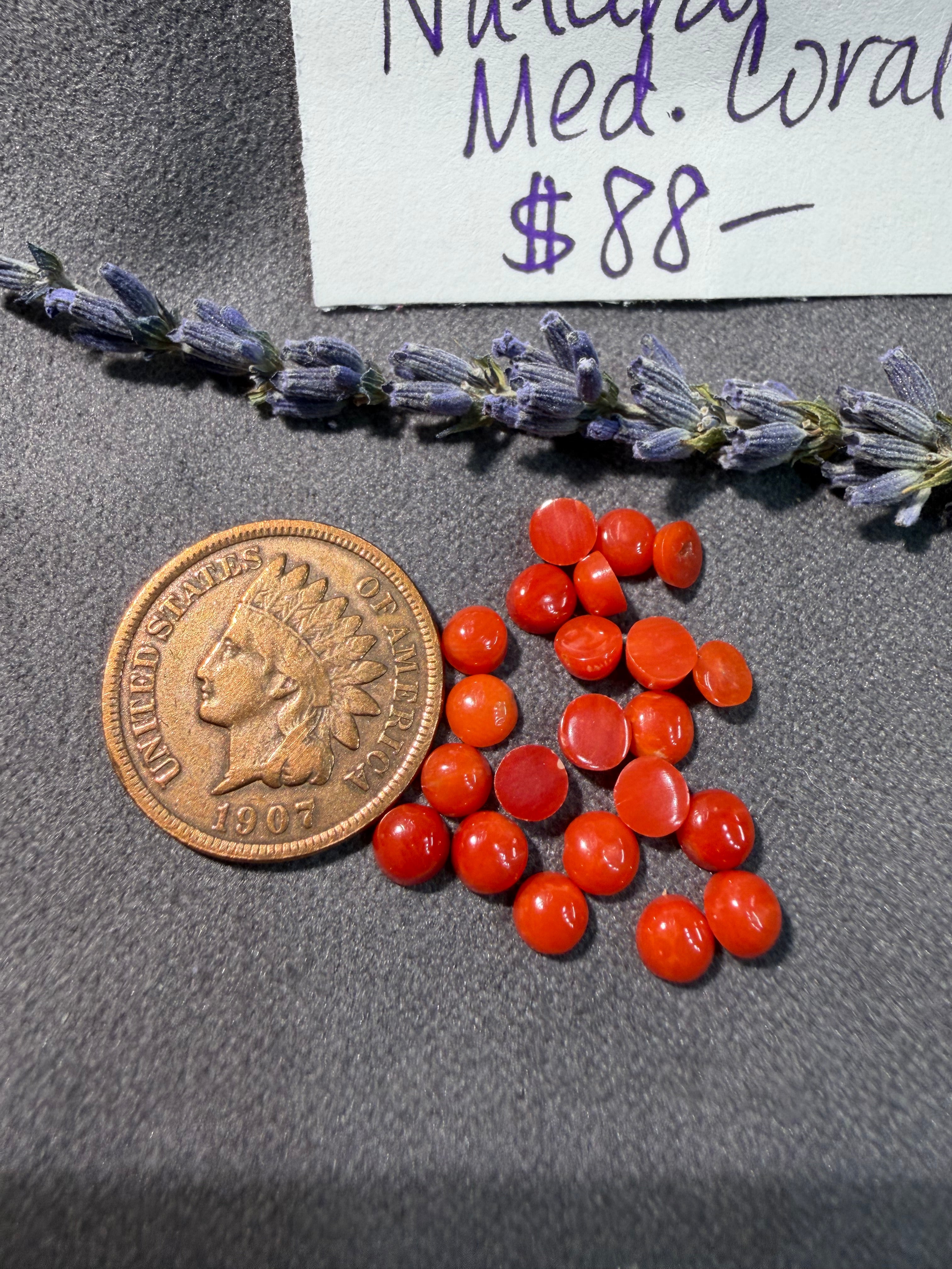 Natural Mediterranean Coral On Sale!