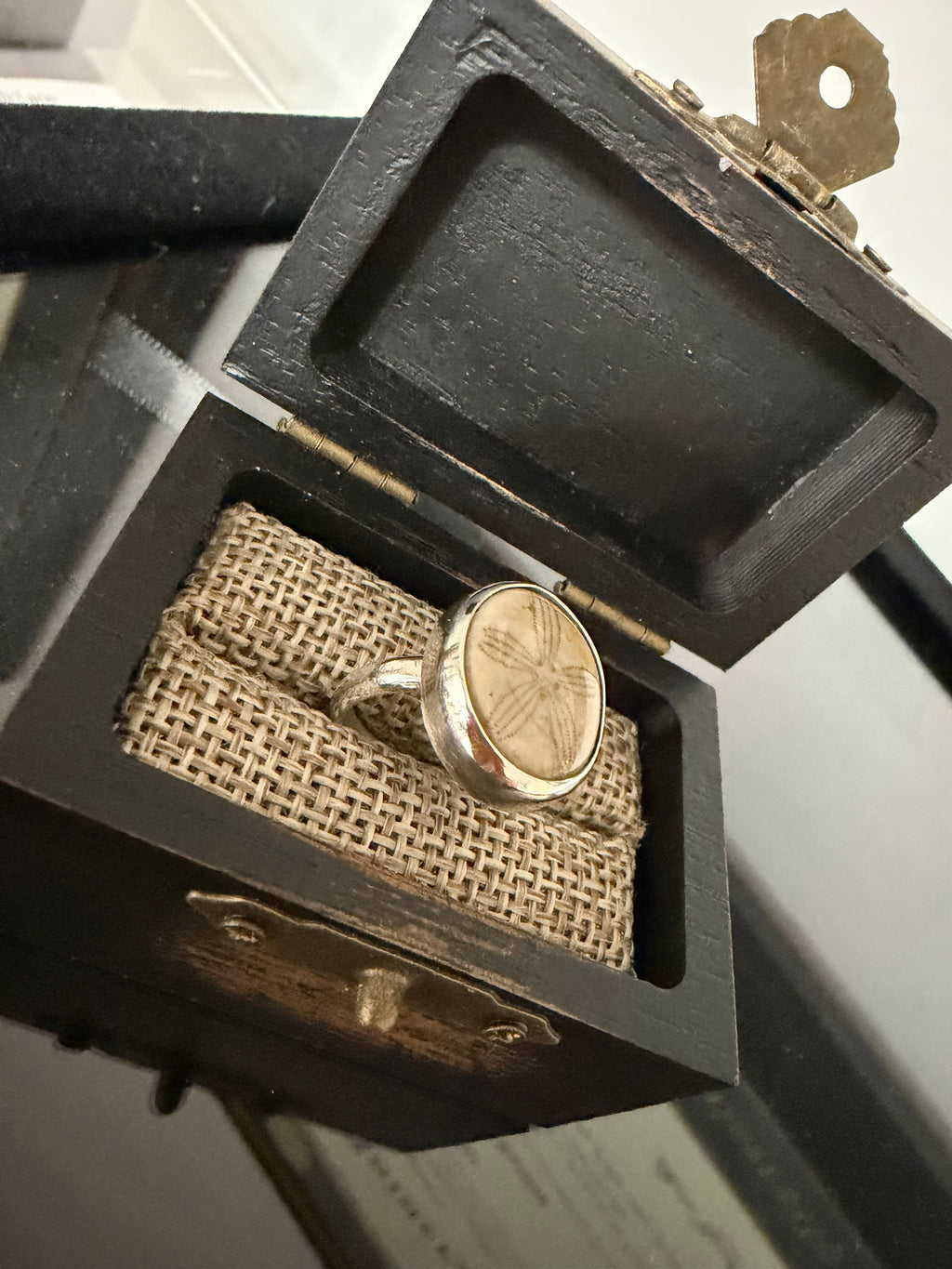 Sand Dollar Fossil Ring - One of a Kind!! Perfect Everyday Ring!