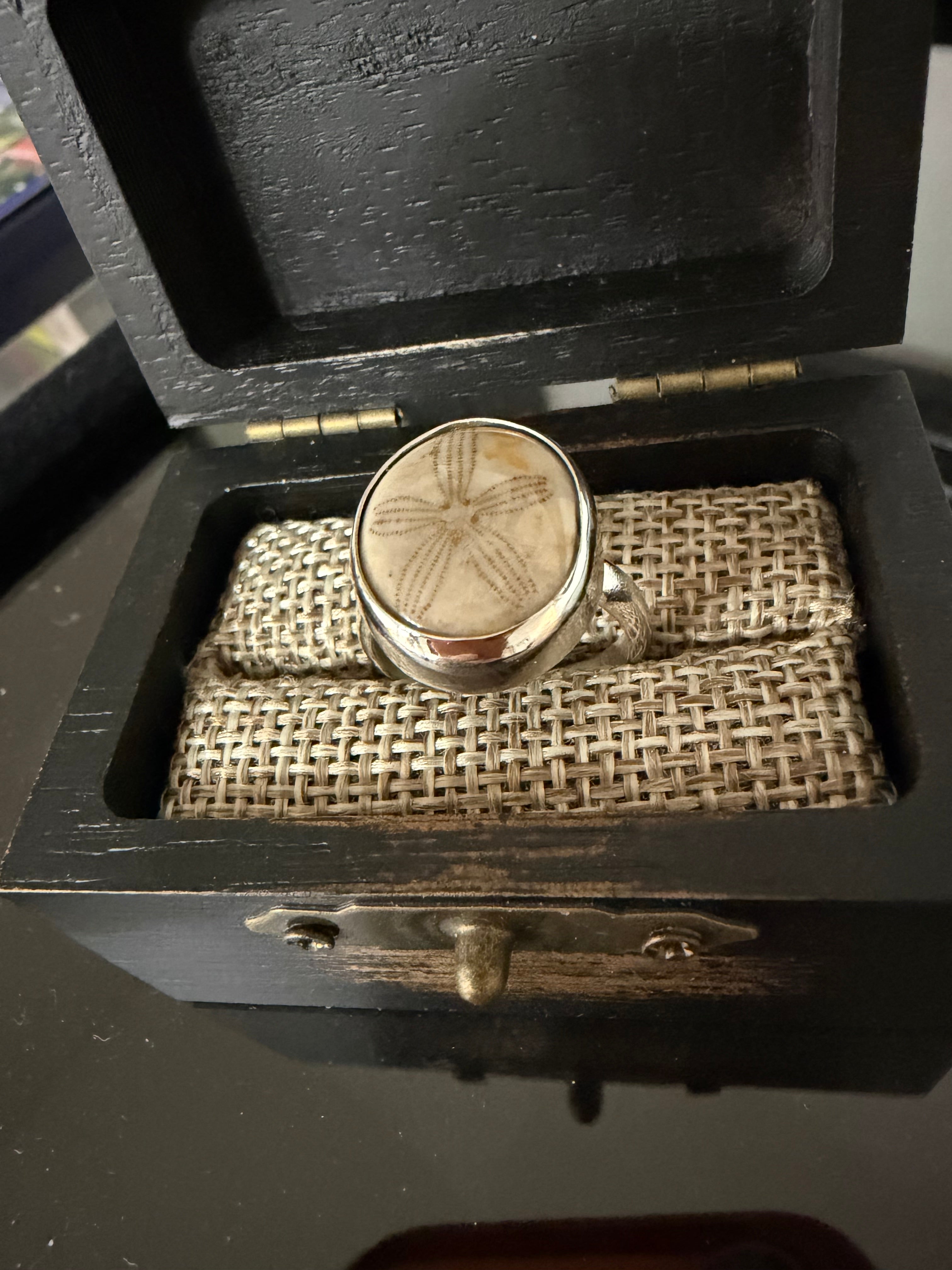 Sand Dollar Fossil Ring - One of a Kind!! Perfect Everyday Ring!