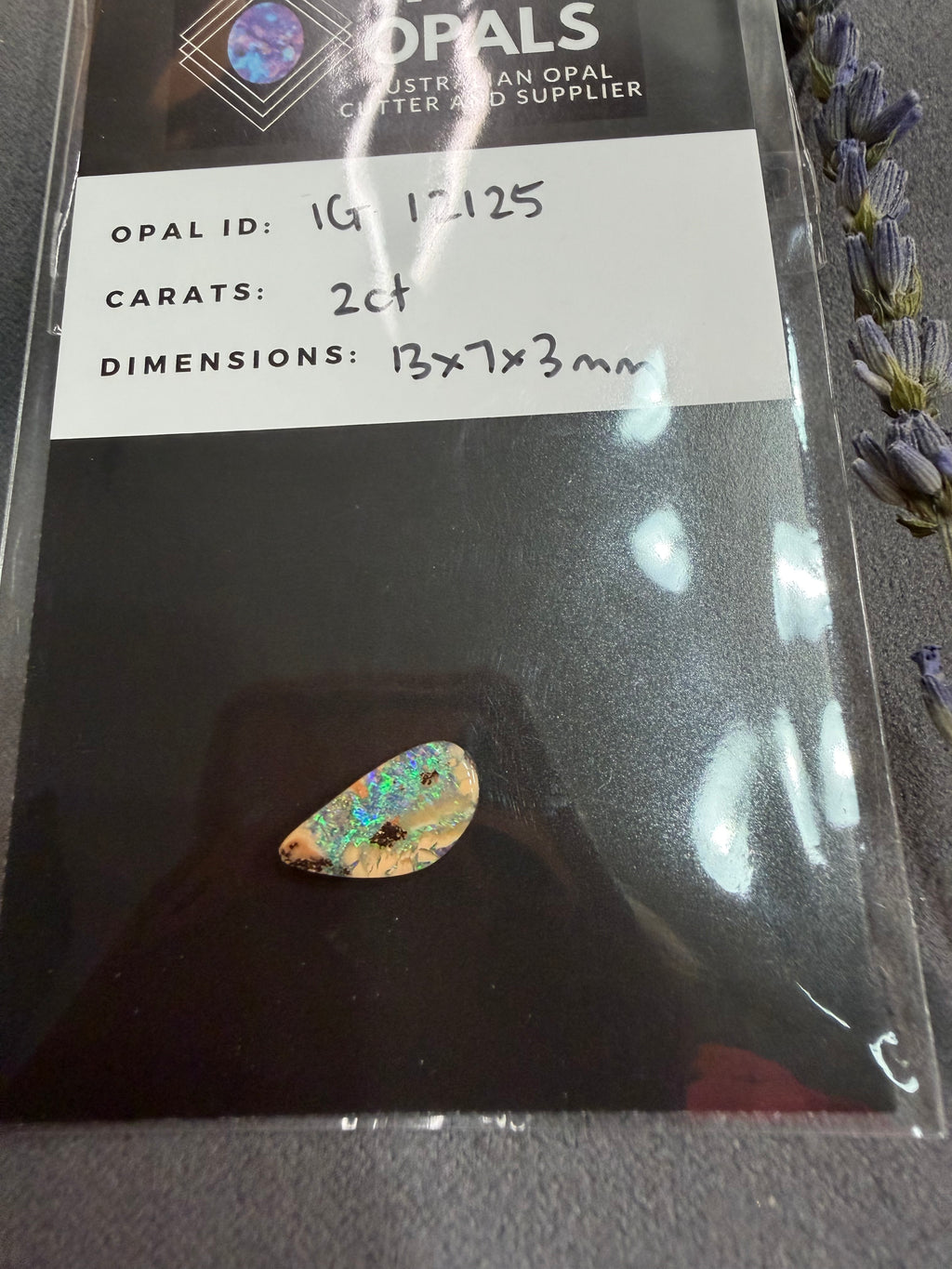 Stunning Opal from Wild Opals, Australian Opal Cutter and Supplier - On Sale!