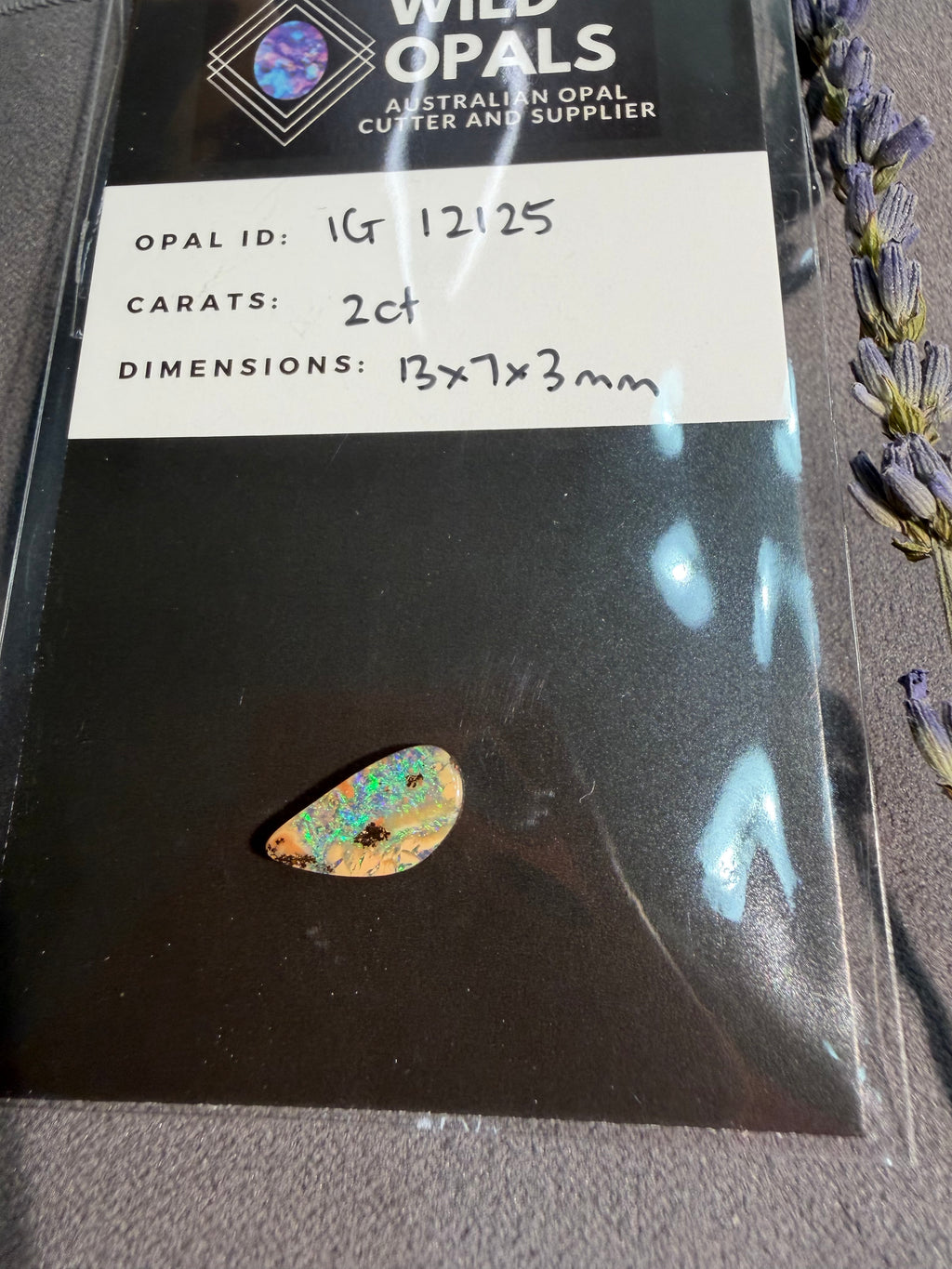 Stunning Opal from Wild Opals, Australian Opal Cutter and Supplier - On Sale!