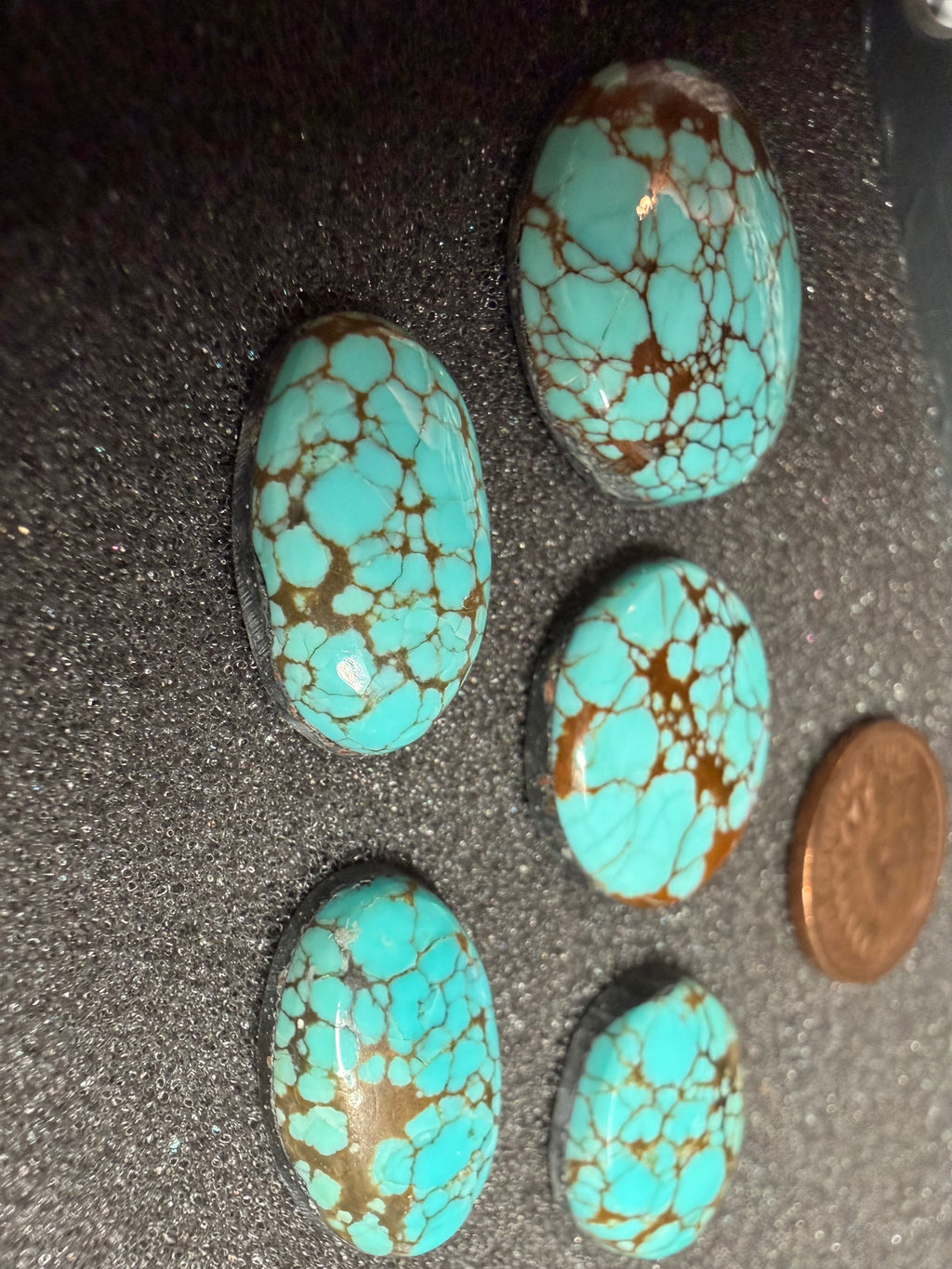 Classic Western Designs Look Amazing with Sierra Nevada Turquoise! (6-Stone Set)