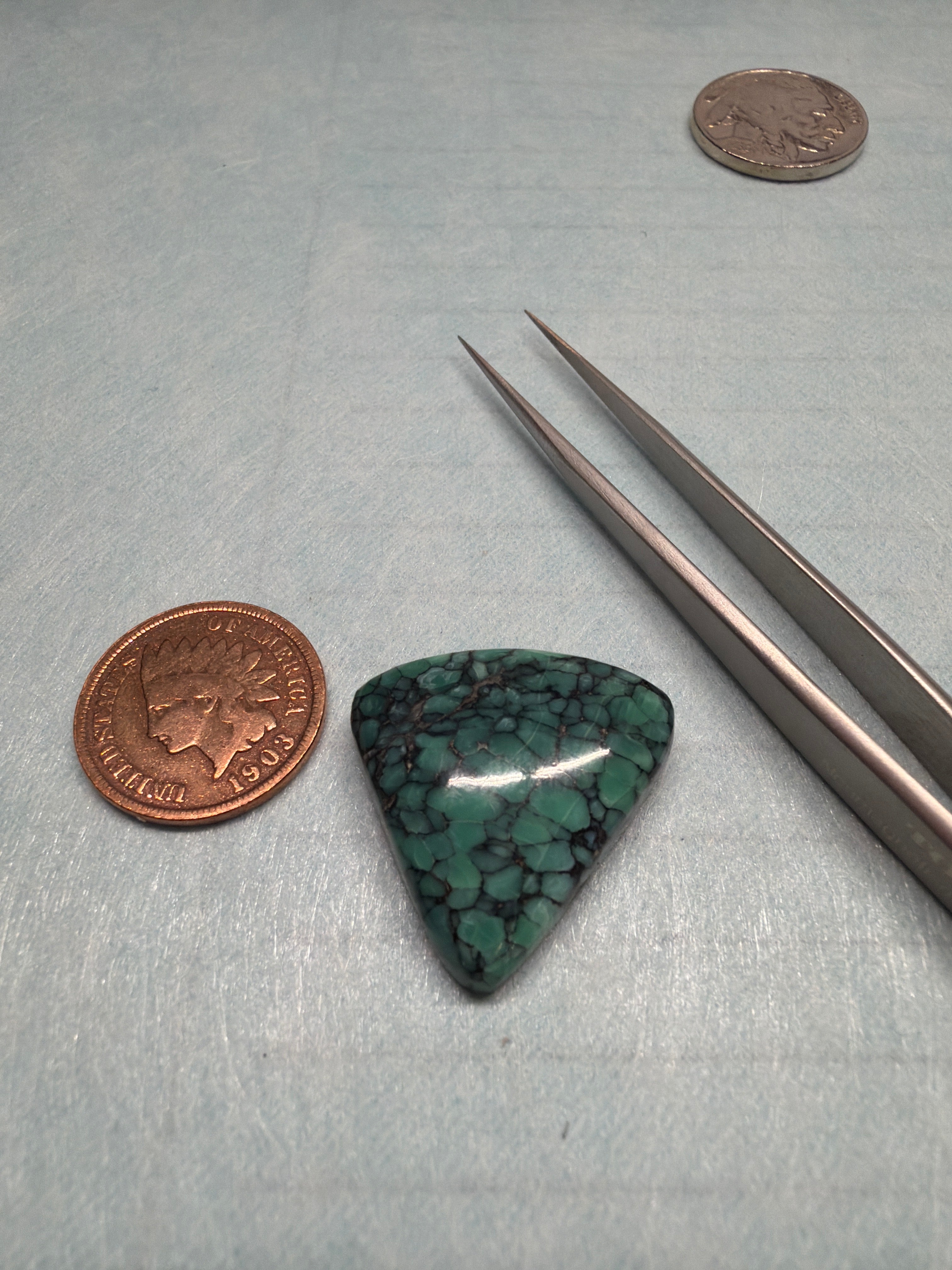 Perfect Persian Variscite! Look at that Matrix!!