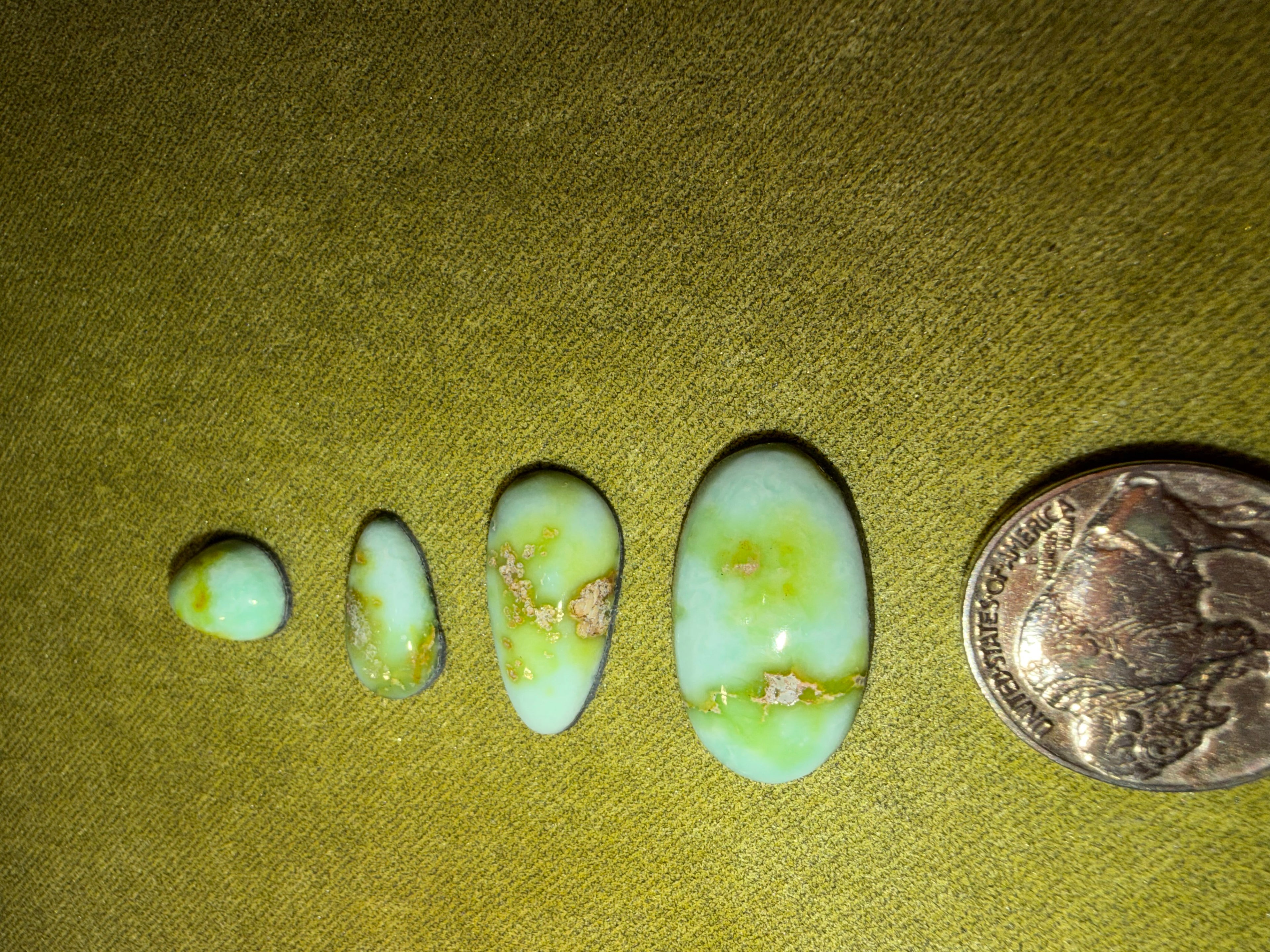 Pretty Palomino! Price Drop! Grab these Gorgeous Cabs today!