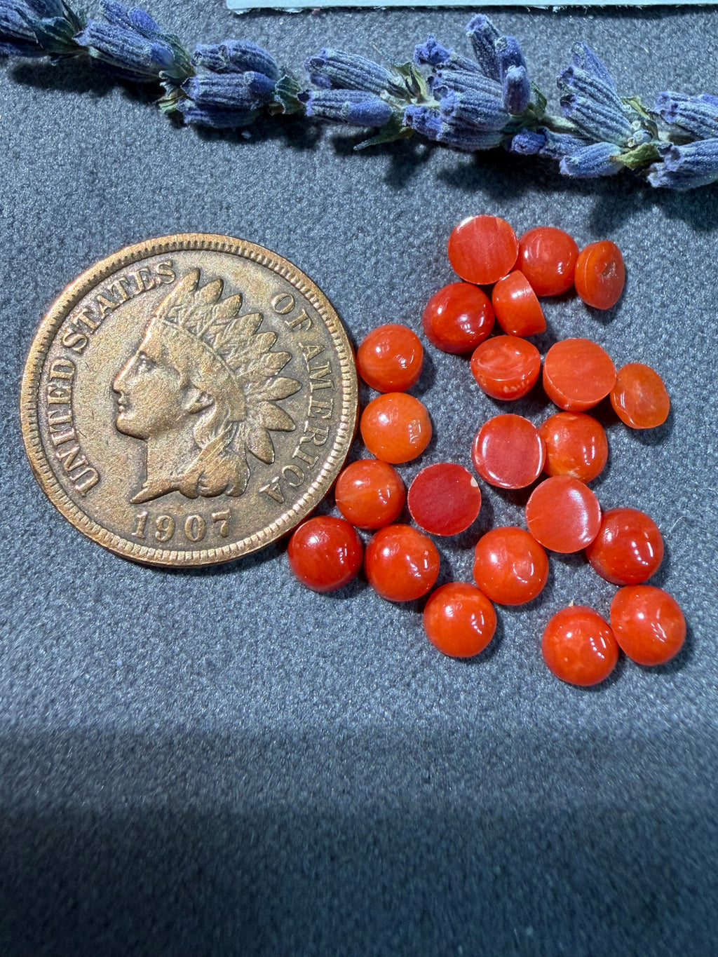 Natural Mediterranean Coral On Sale!