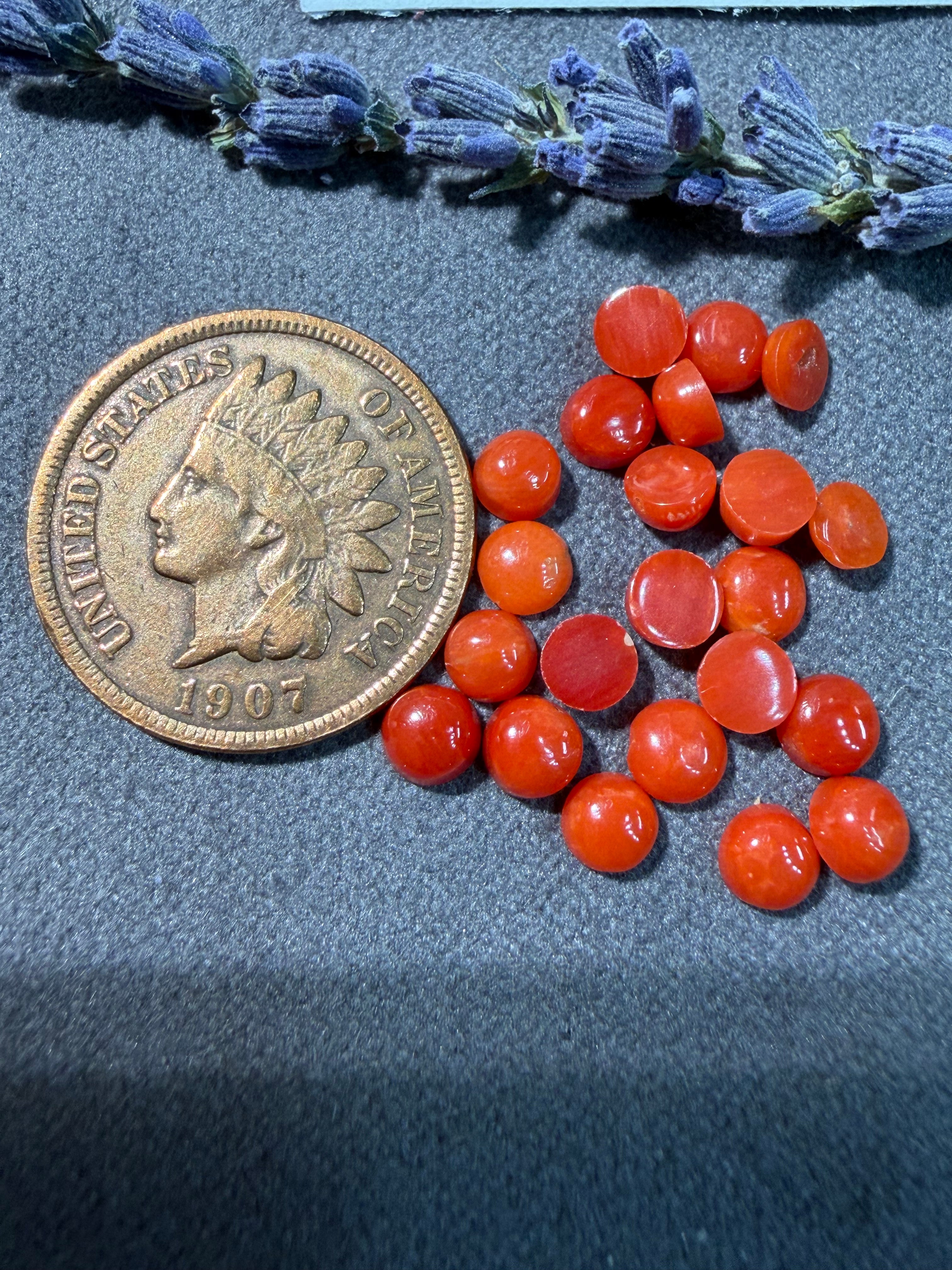Natural Mediterranean Coral On Sale!