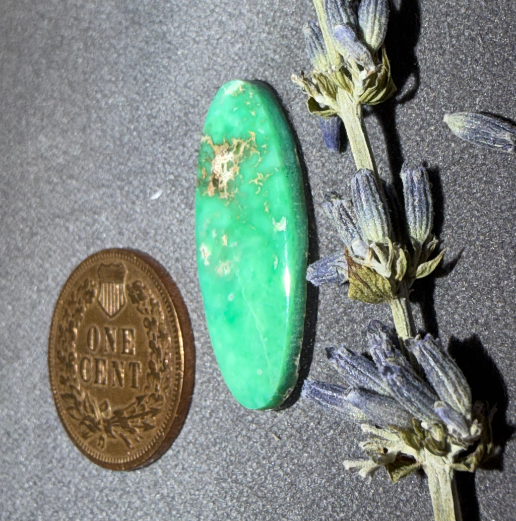 This is RARE, Natural, and Beautiful Orvil Jack Turquoise! On Sale!
