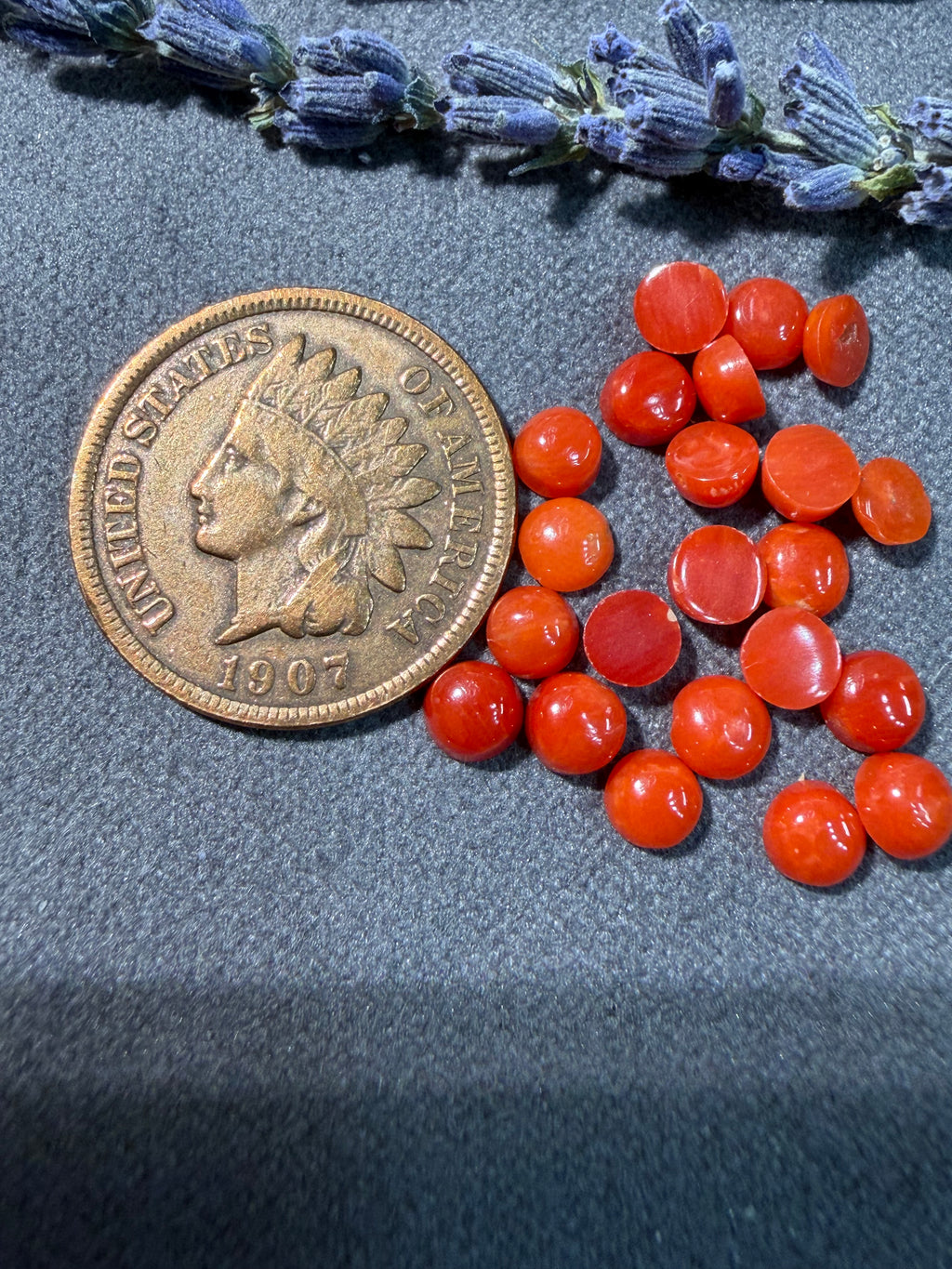 Natural Mediterranean Coral On Sale!