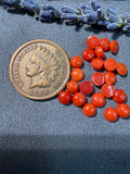 Natural Mediterranean Coral On Sale!