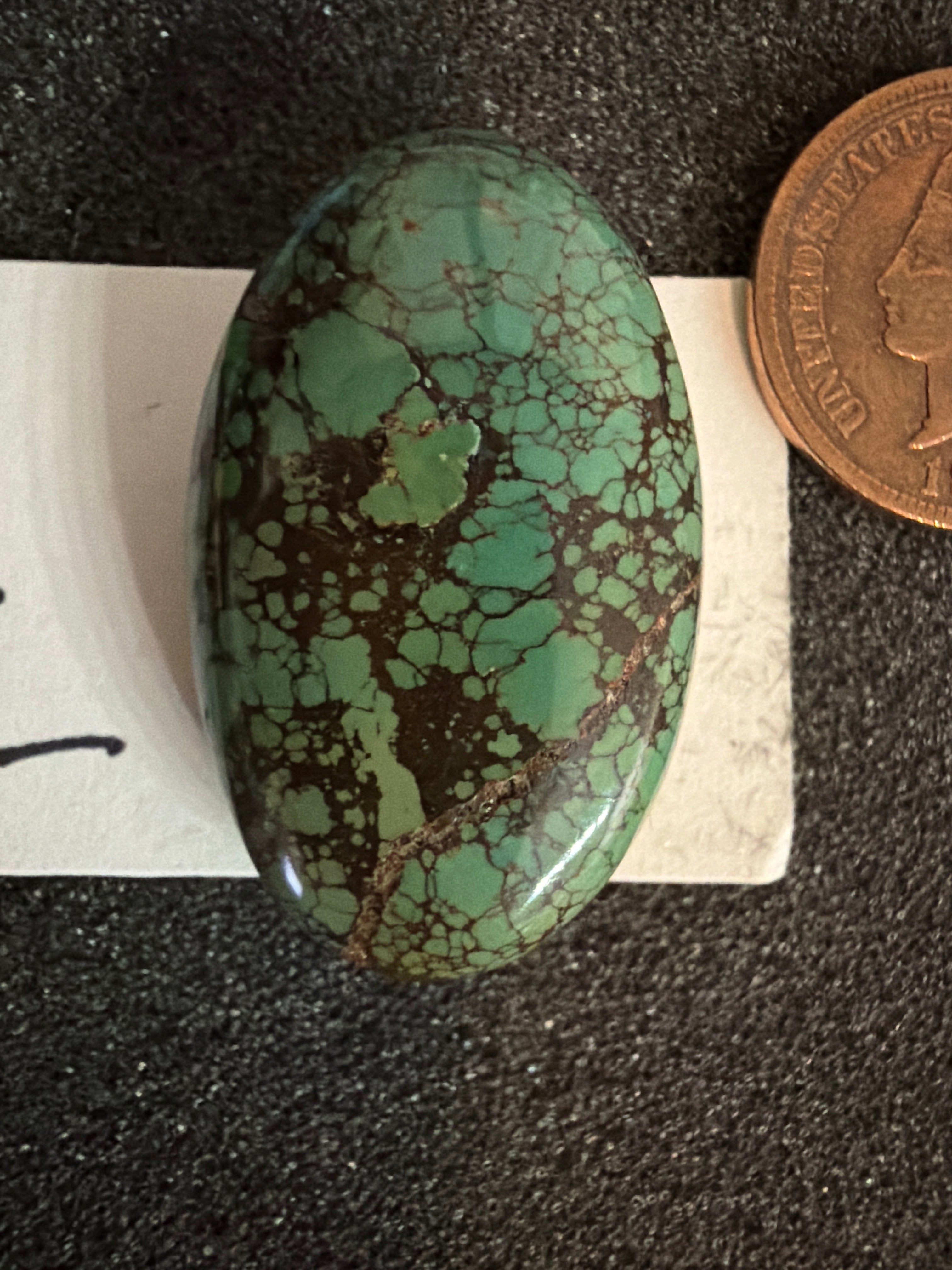 Bamboo Mountain Turquoise - Rare and Colorful!