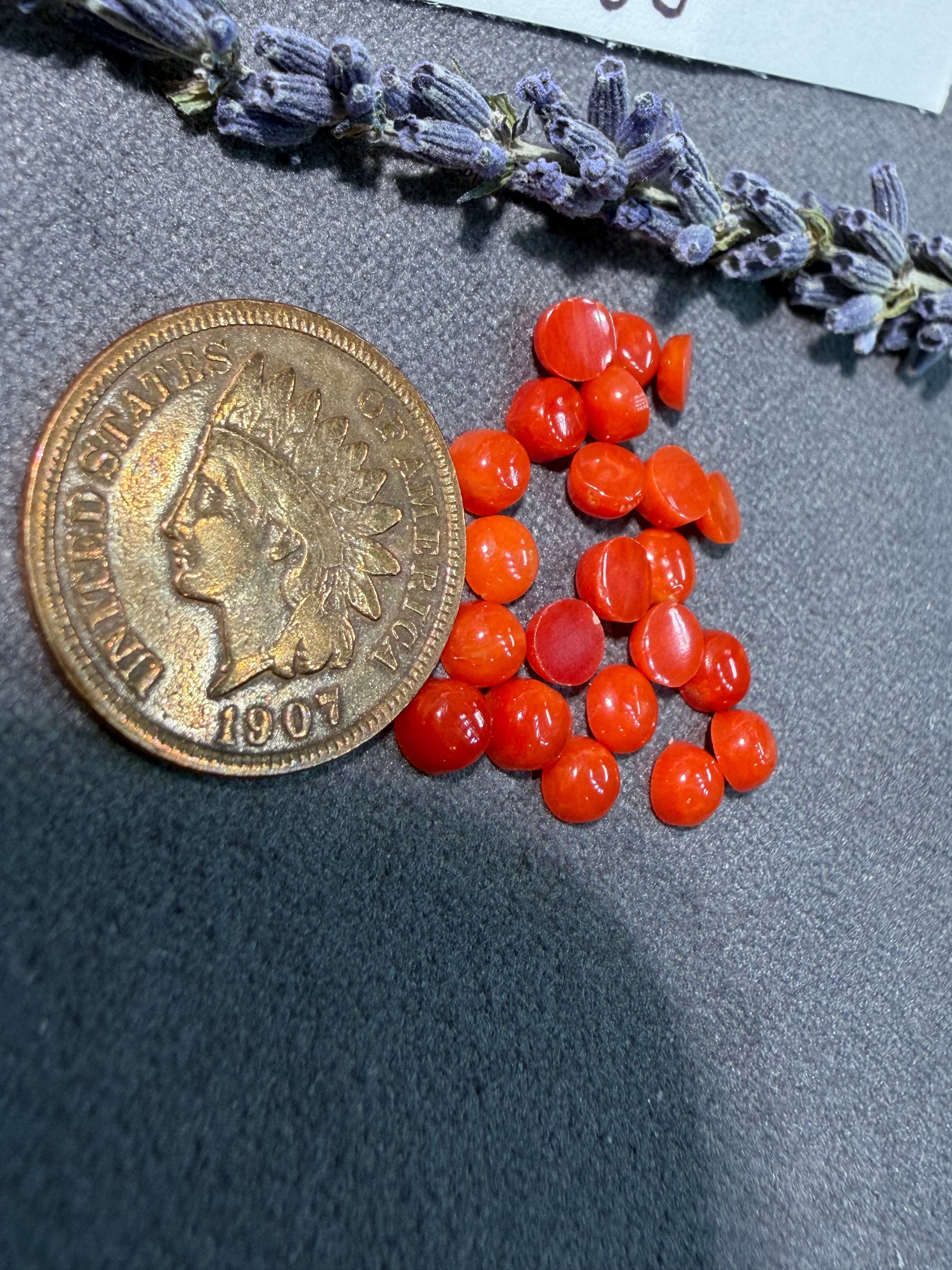 Natural Mediterranean Coral On Sale!