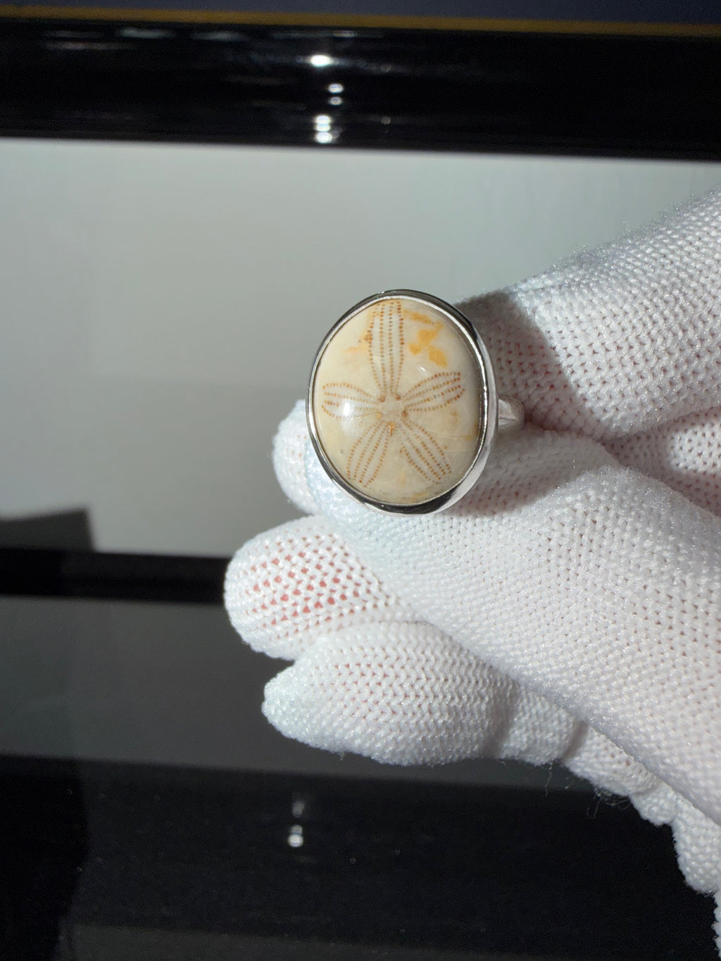 Sand Dollar Fossil Ring - One of a Kind!! Perfect Everyday Ring!