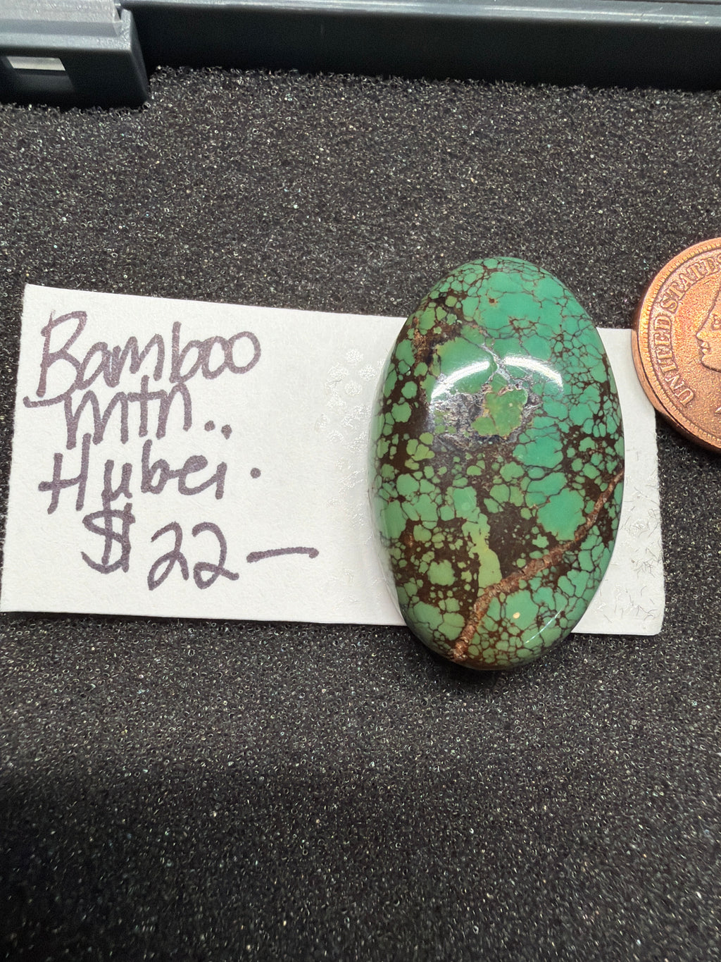 Bamboo Mountain Turquoise - Rare and Colorful!