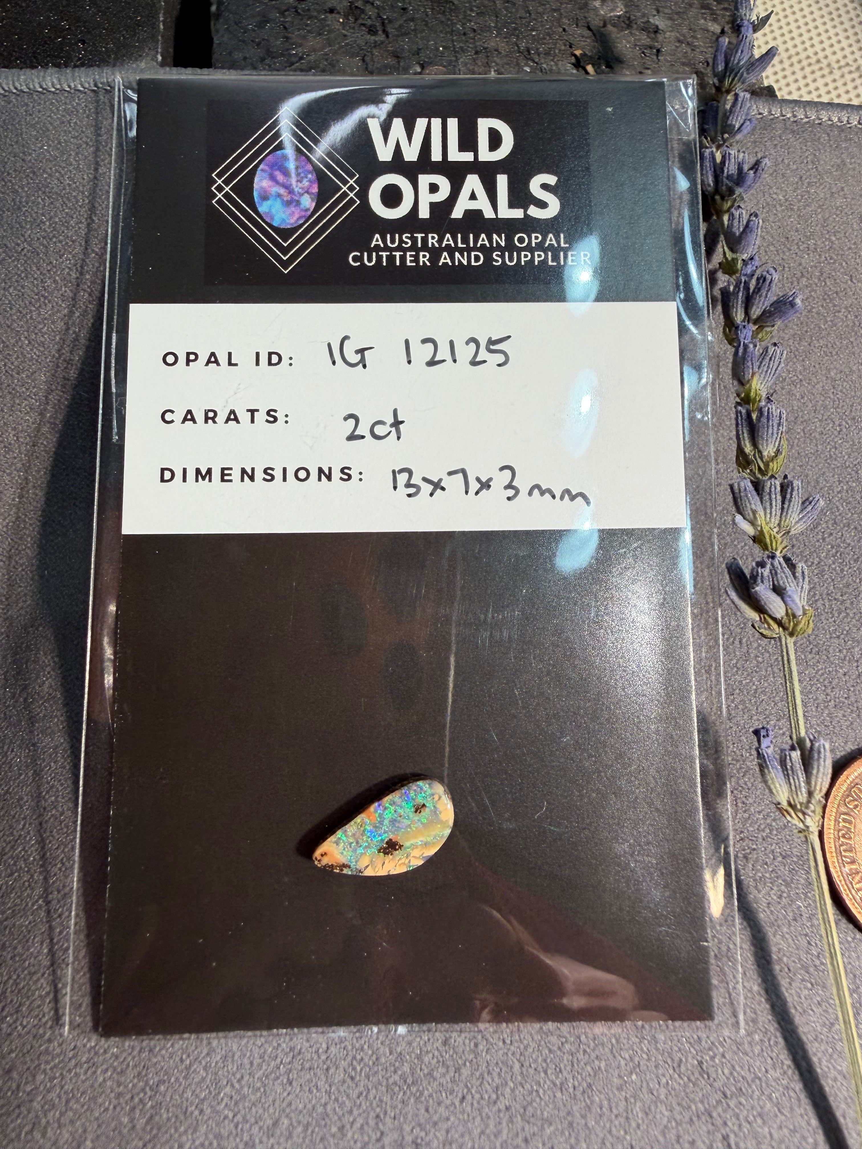 Stunning Opal from Wild Opals, Australian Opal Cutter and Supplier - On Sale!