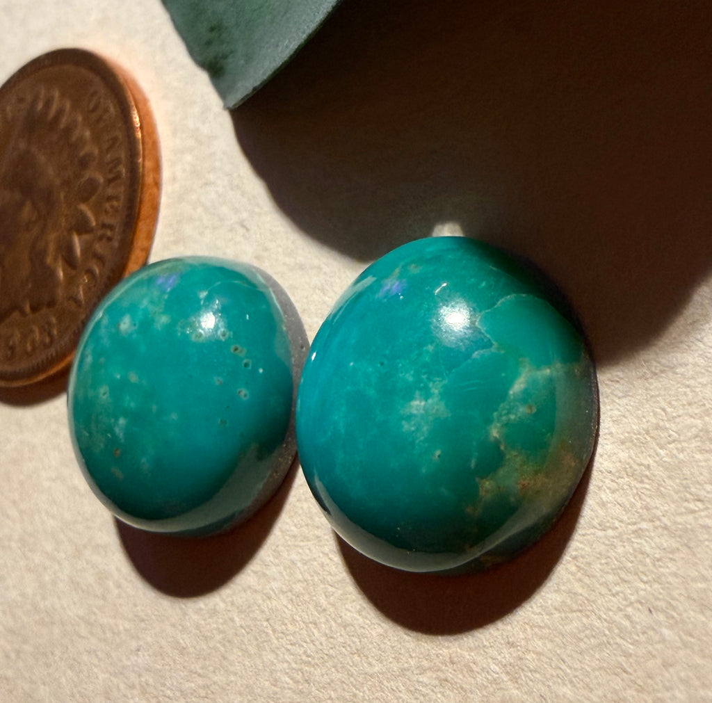 Pair of Vintage Royston Turquoise - Perfect for Earrings!!