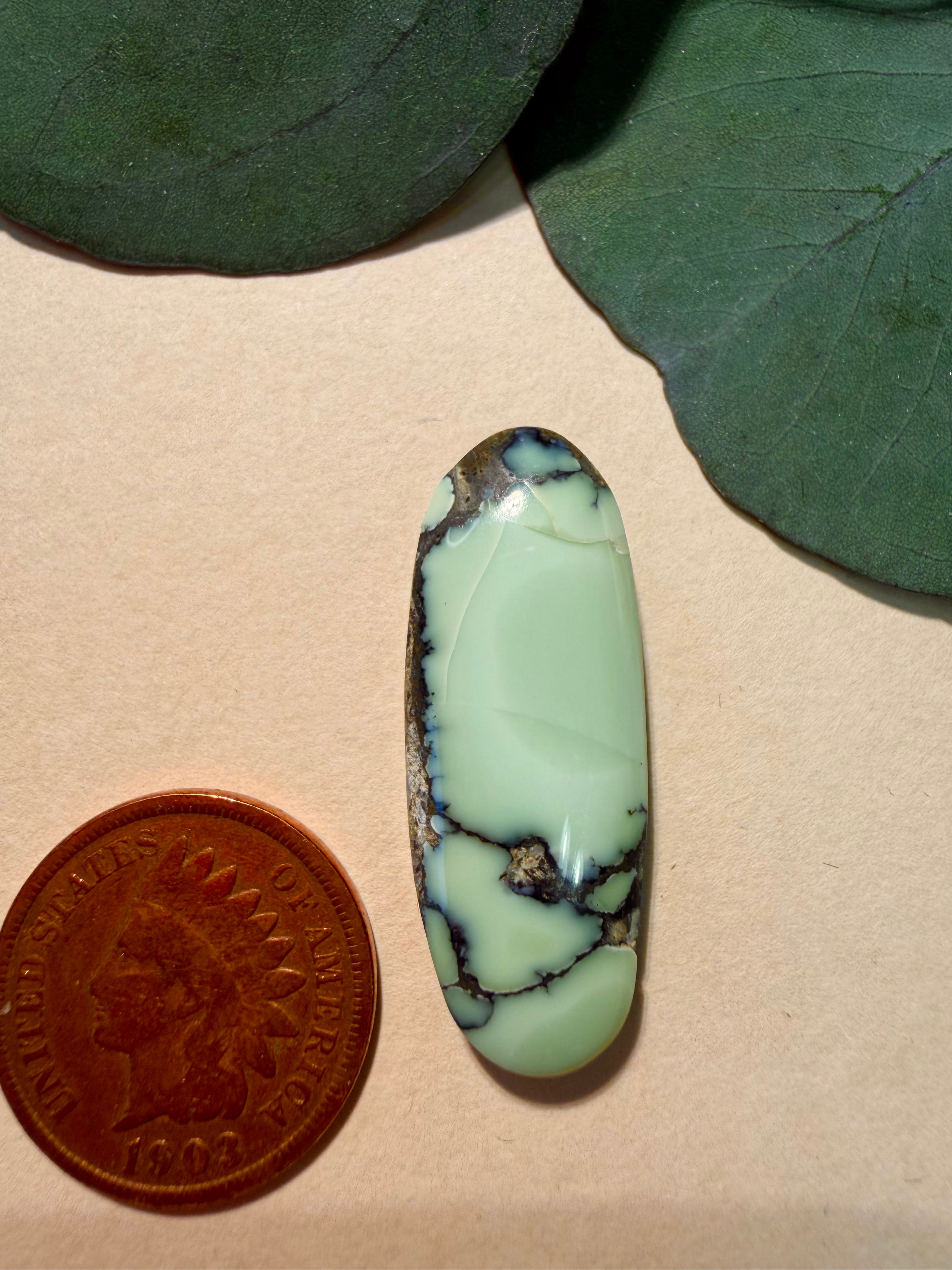 Beautiful - Prince Variscite Cab at a Great Price!