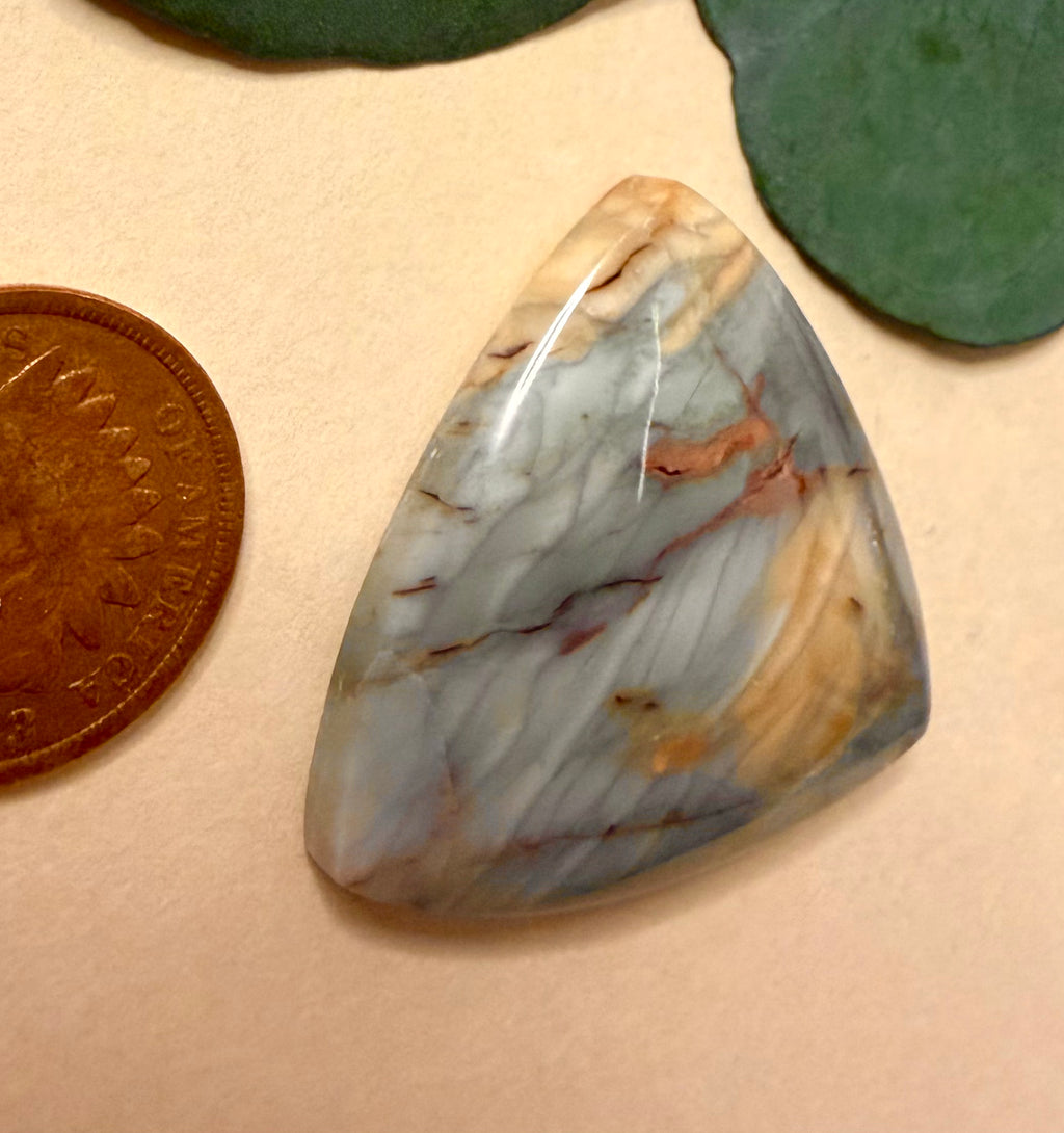 Gorgeous Brushfire Jasper, from OR, - High Grade - On Sale!