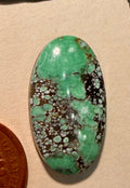 Miss Moffett Variscite - Candelaria Variscite from the Candelaria Mining District, Esmeralda County, NV