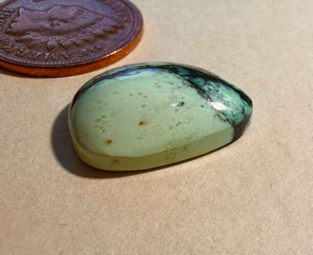 Rare and Magical Peacock Turquoise from a Closed Gold Mine! (unbacked)