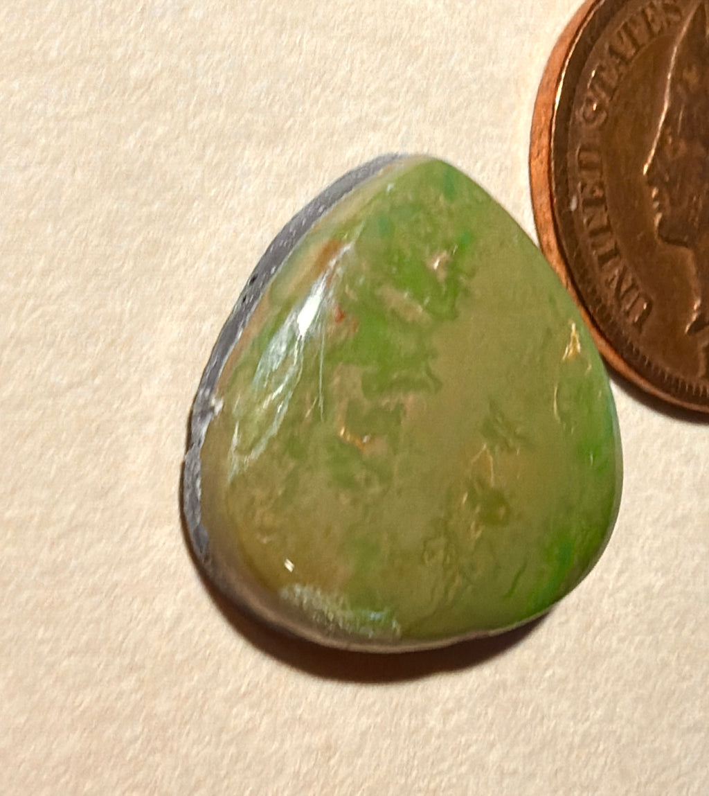 Olive Green Royston Turquoise Cabochon! On Sale!