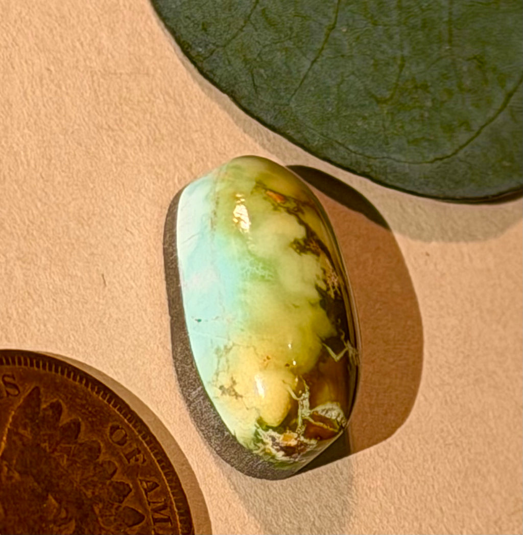 Iron Maiden Turquoise - Rare and Gorgeous!