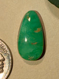 Beautiful & Classic Royston Turquoise Cabochon! On Sale!