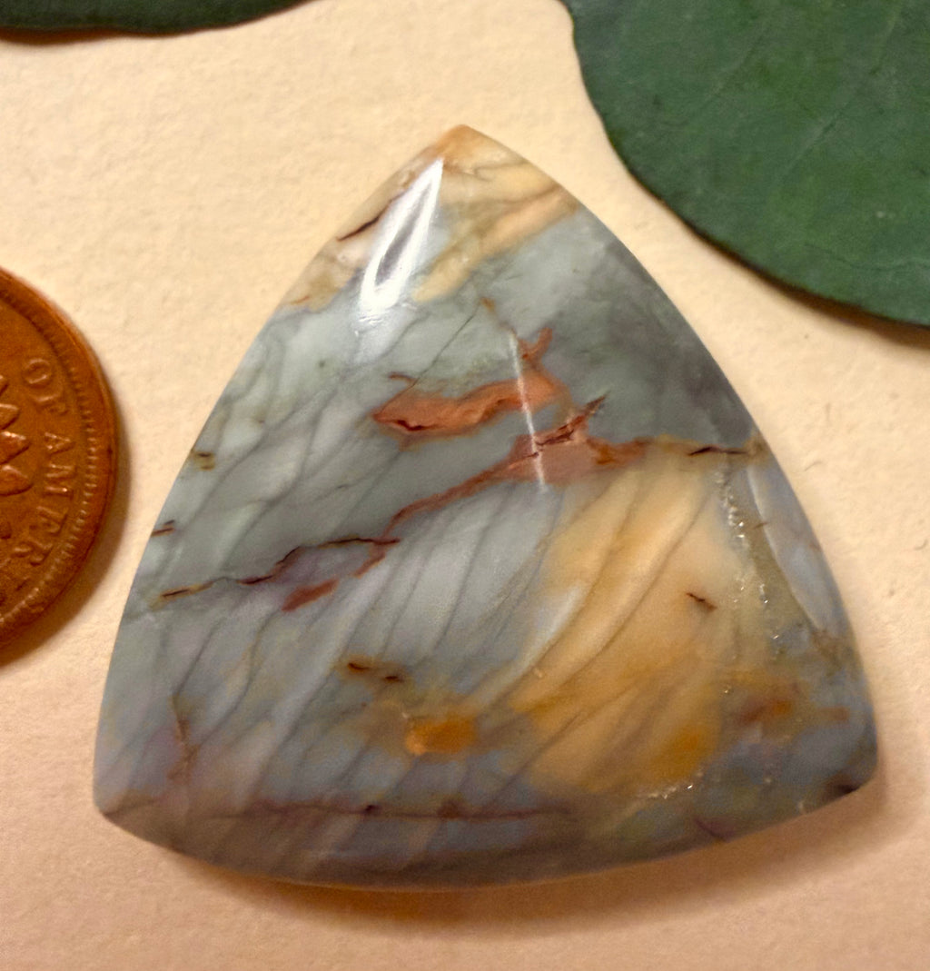 Gorgeous Brushfire Jasper, from OR, - High Grade - On Sale!