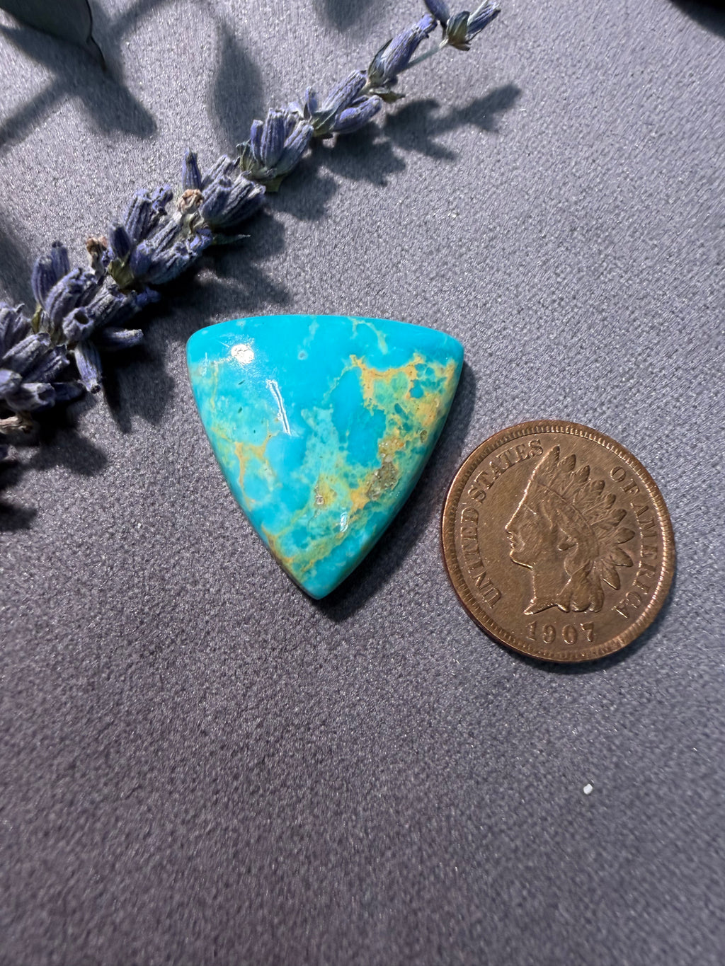 WOW! FOX Turquoise!! I'm in love!