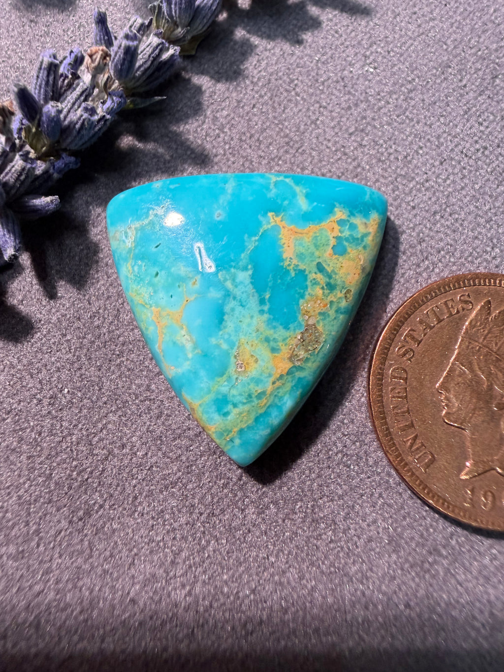 WOW! FOX Turquoise!! I'm in love!