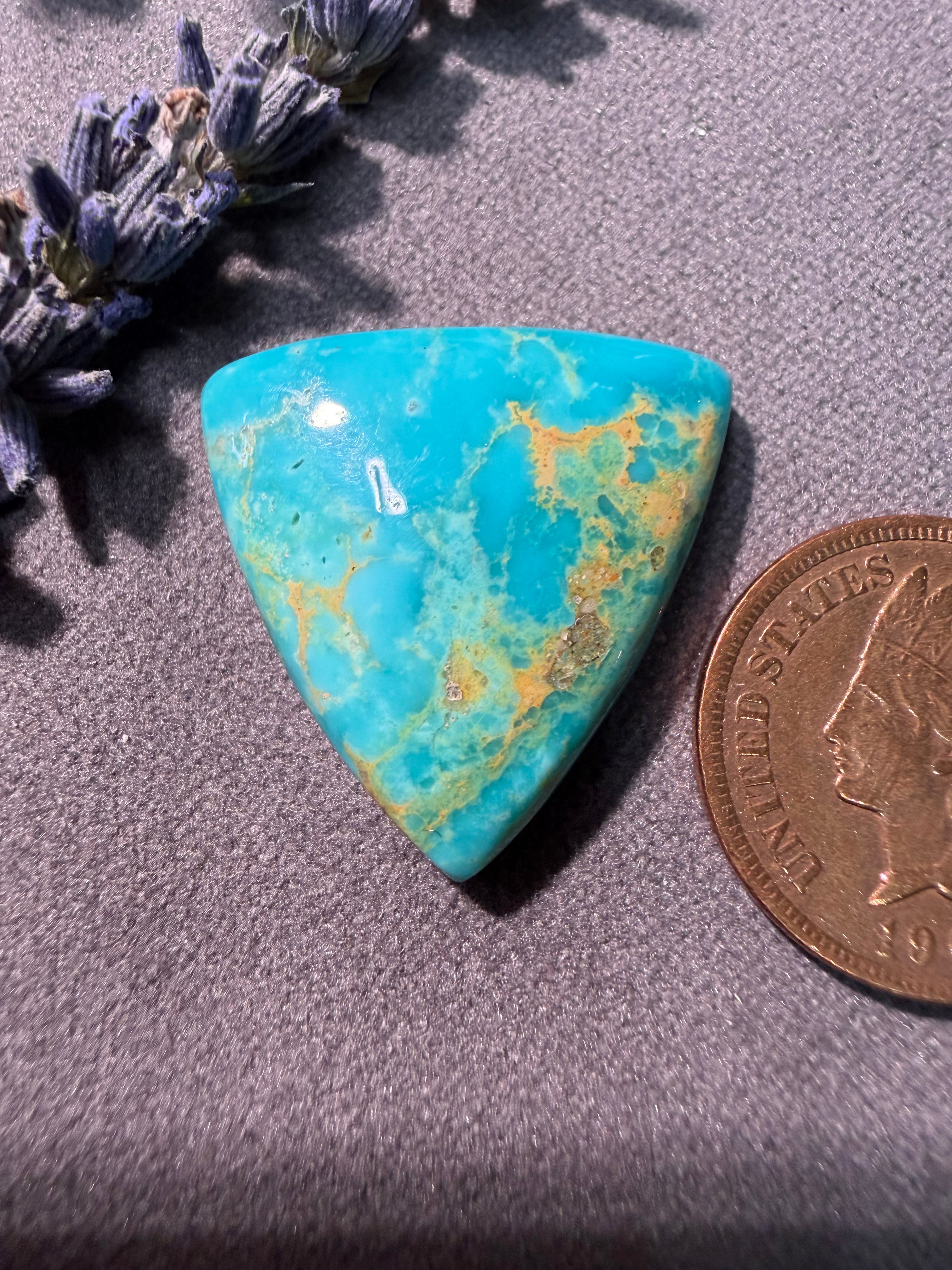 WOW! FOX Turquoise!! I'm in love!