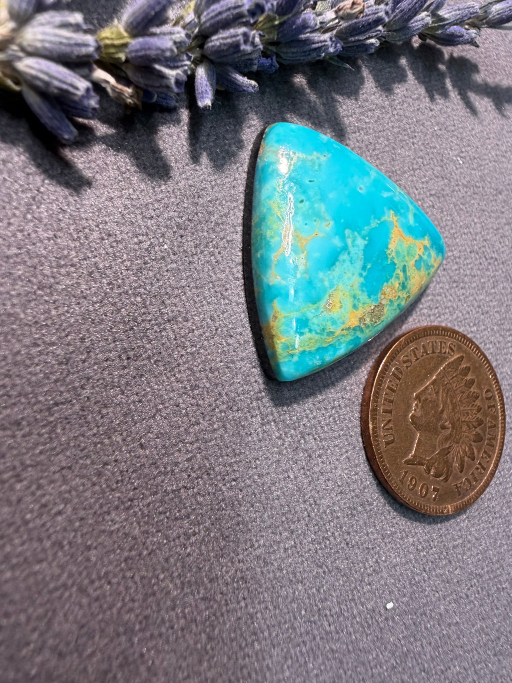 WOW! FOX Turquoise!! I'm in love!