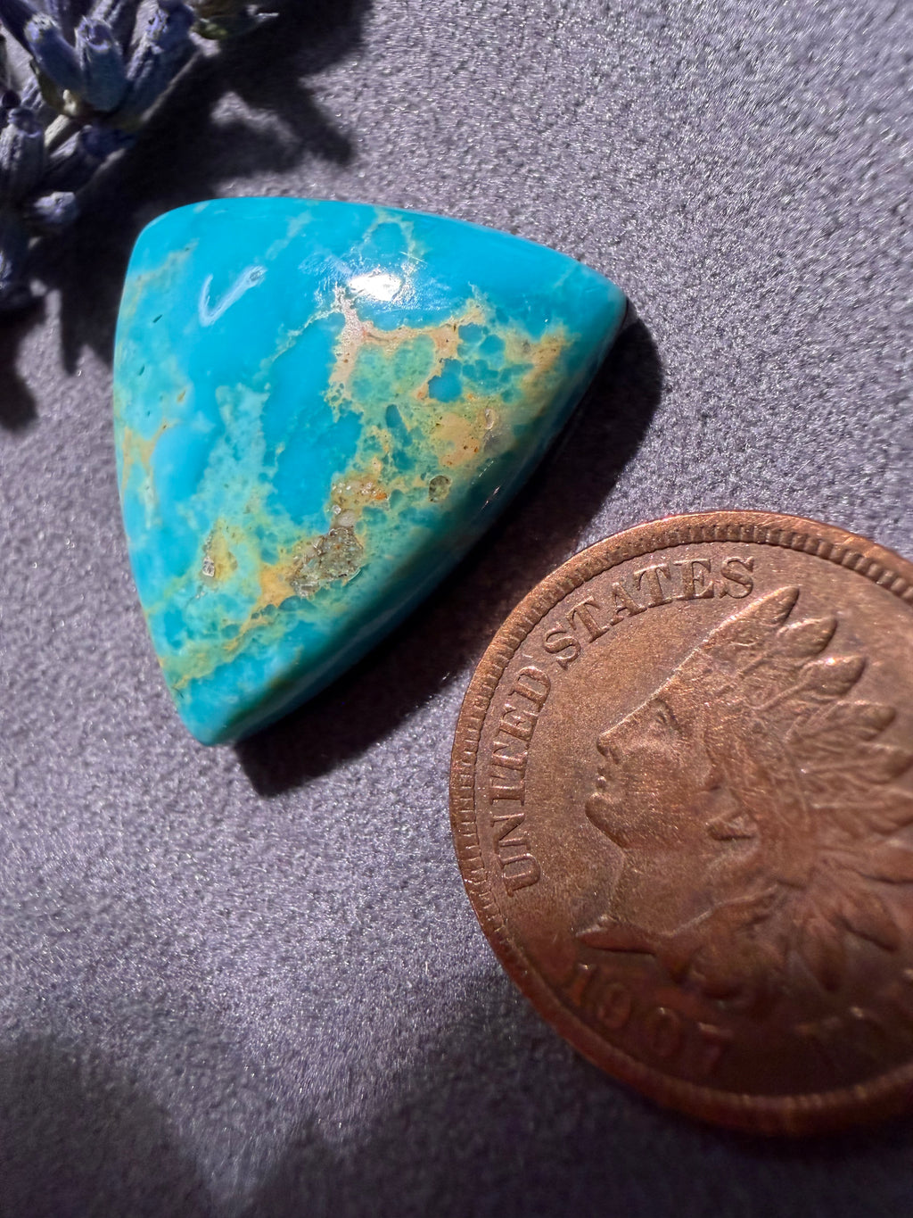 WOW! FOX Turquoise!! I'm in love!