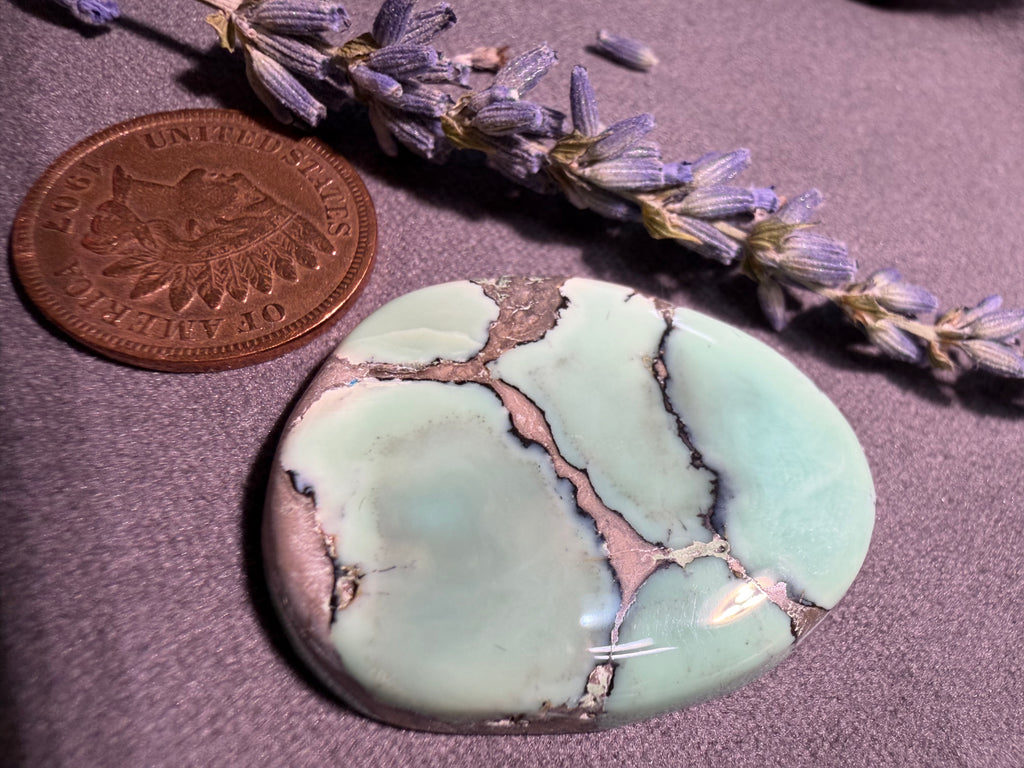 Large Gorgeous Desert Bloom Variscite!  UnBAcked! ON Sale!