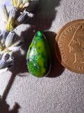 For The Love of Green Stones!!  Sonoran Rio Verde Cabochon!