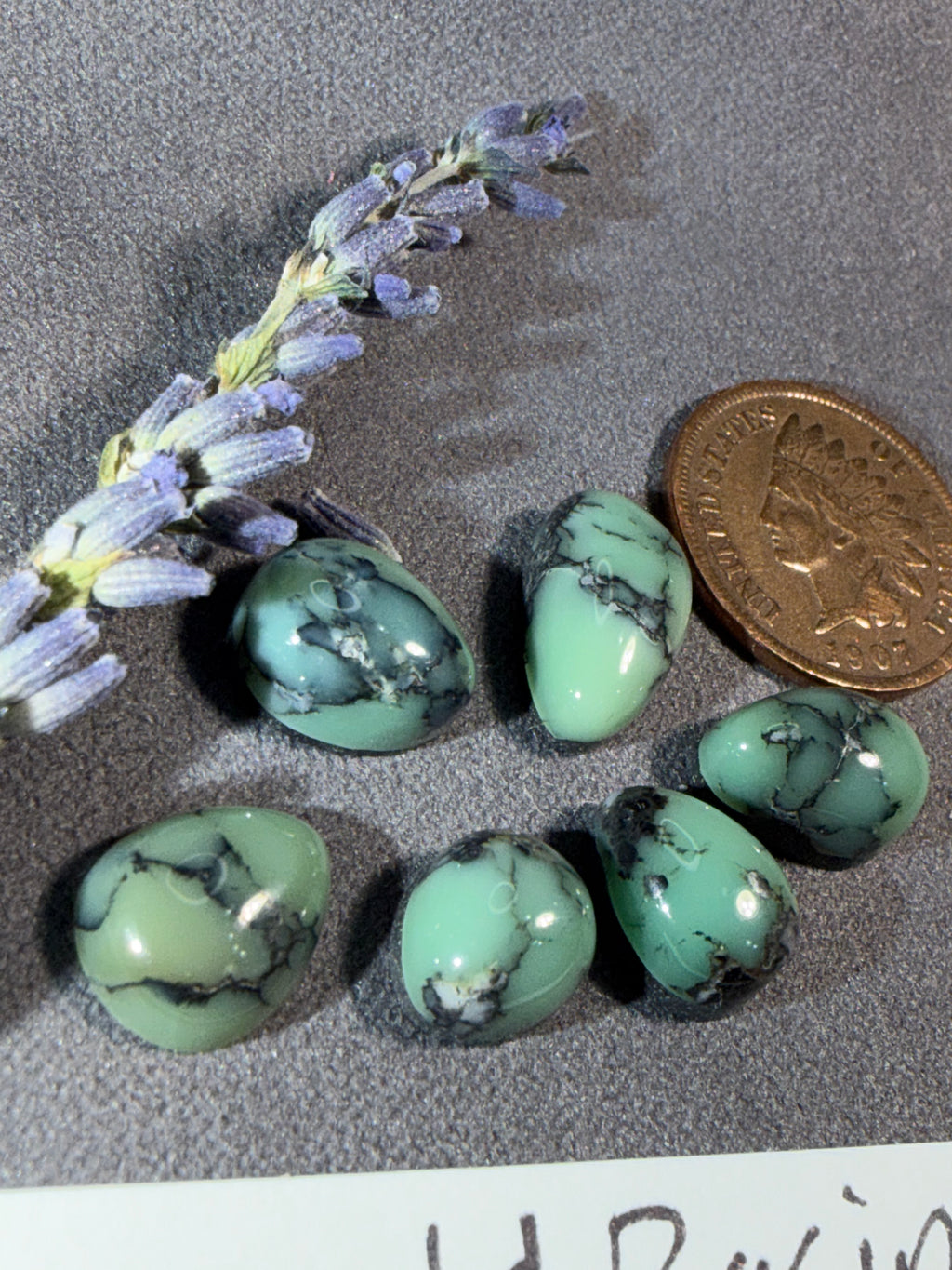 Lot of Emerald Basin Mine - Variscite 19cts. On Sale!